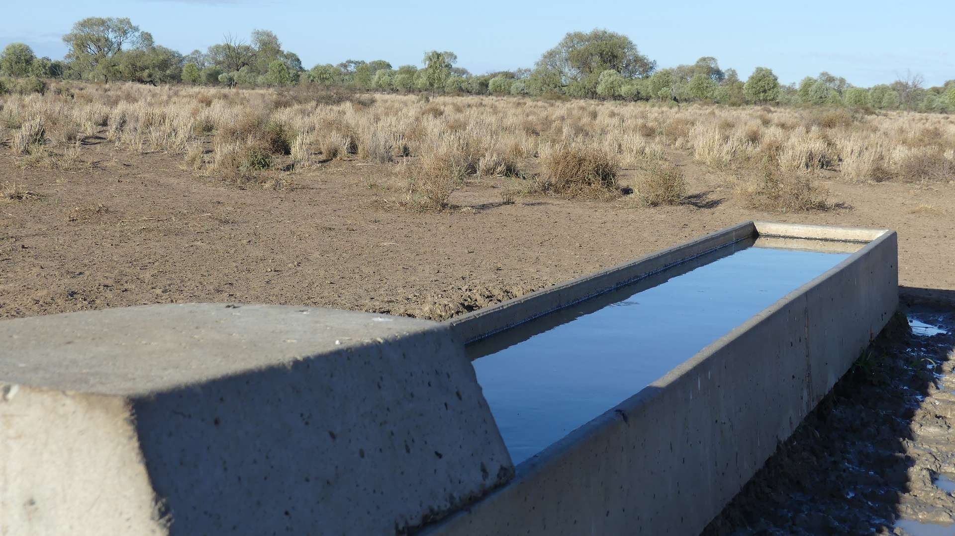 Warren Tender by Farmbuy.com - image 16