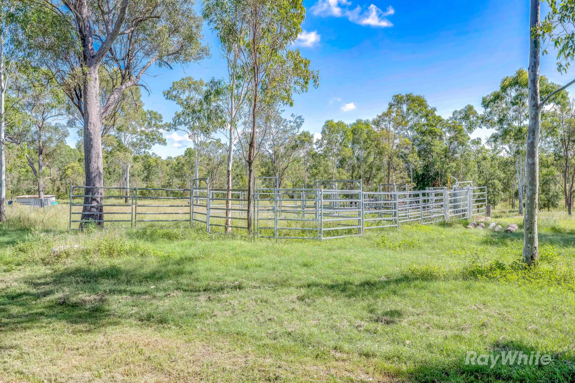 17 Royans Road, Maroondan For Sale by Farmbuy.com - image 25