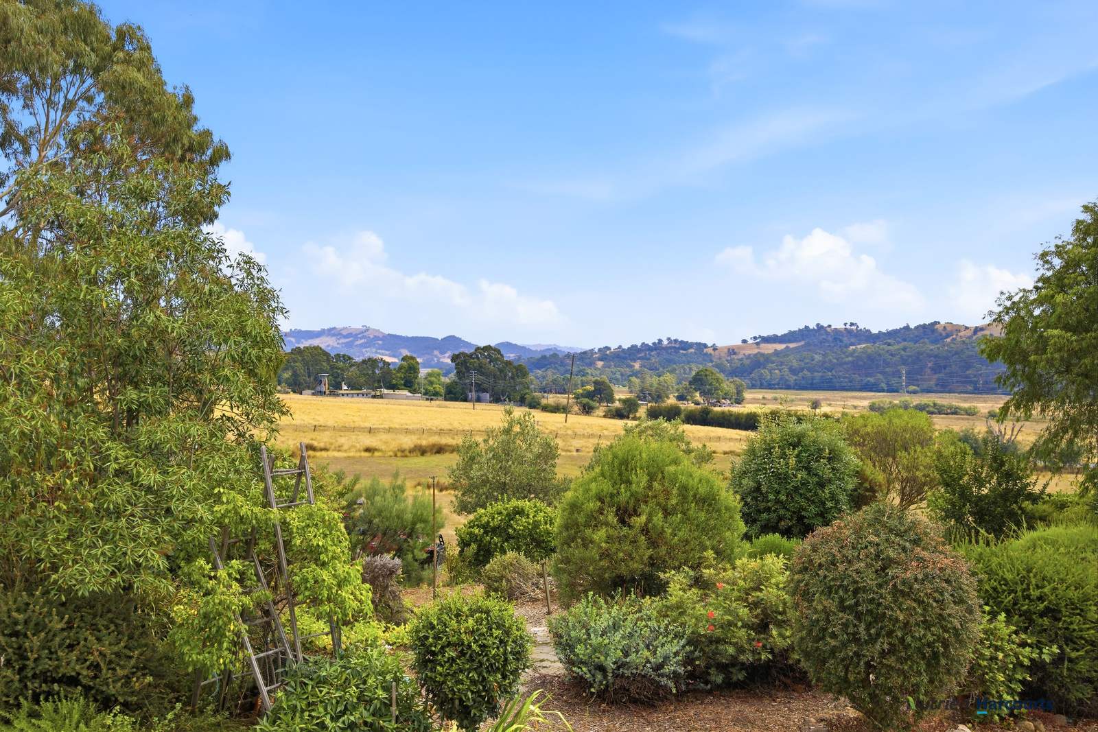 318 Rubicon Road, Rubicon For Sale by Farmbuy.com - image 4