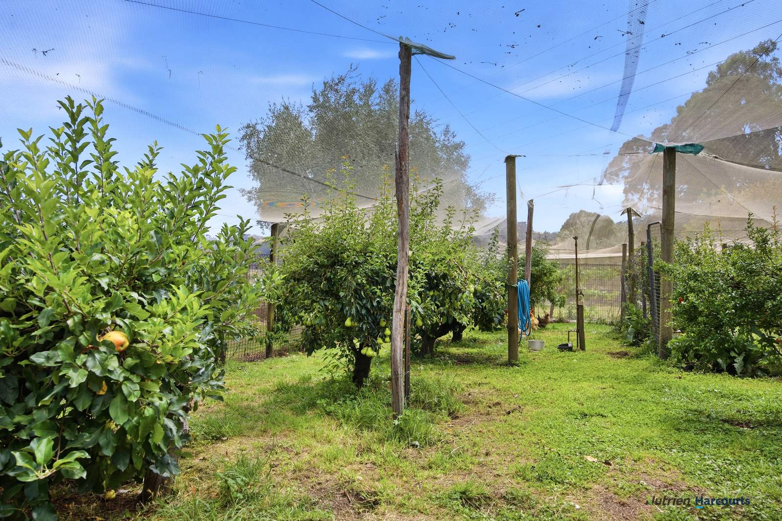 318 Rubicon Road, Rubicon For Sale by Farmbuy.com - image 20