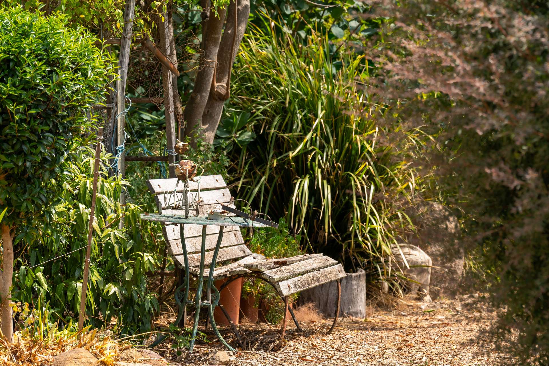 318 Rubicon Road, Rubicon For Sale by Farmbuy.com - image 16