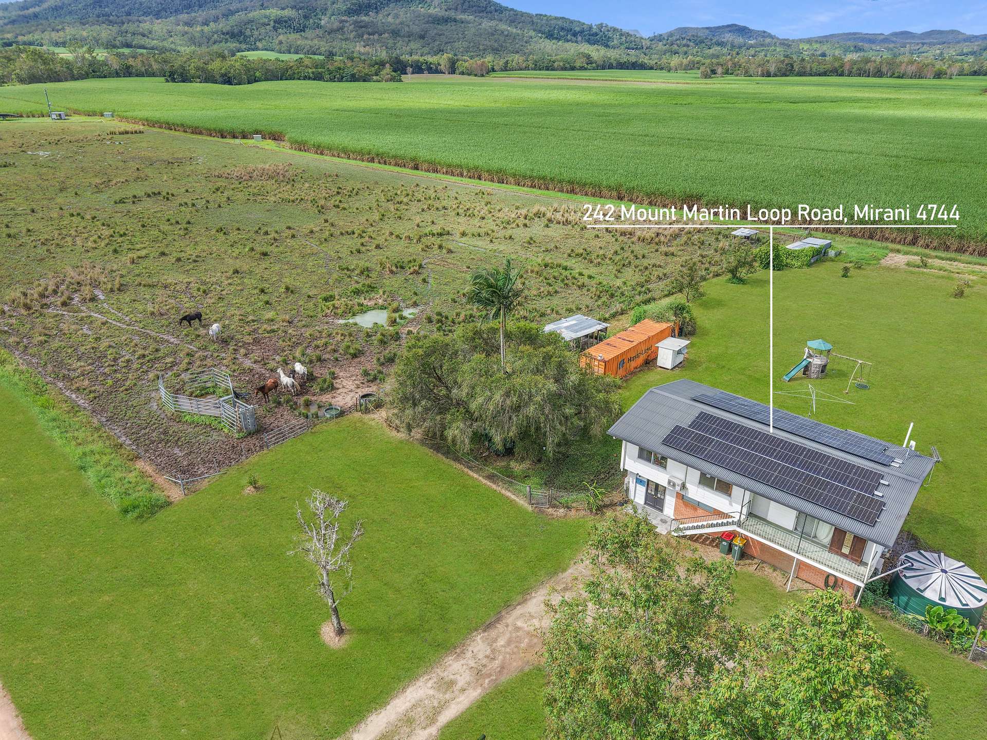242 Mount Martin Loop Road, Mirani For Sale by Farmbuy.com - image 2