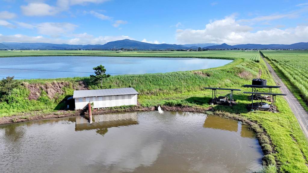 214 Kennys Road, Marian QLD 4753