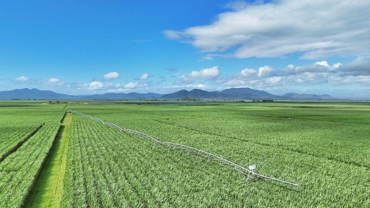 214 Kennys Road, Marian For Sale by Farmbuy.com - image 2