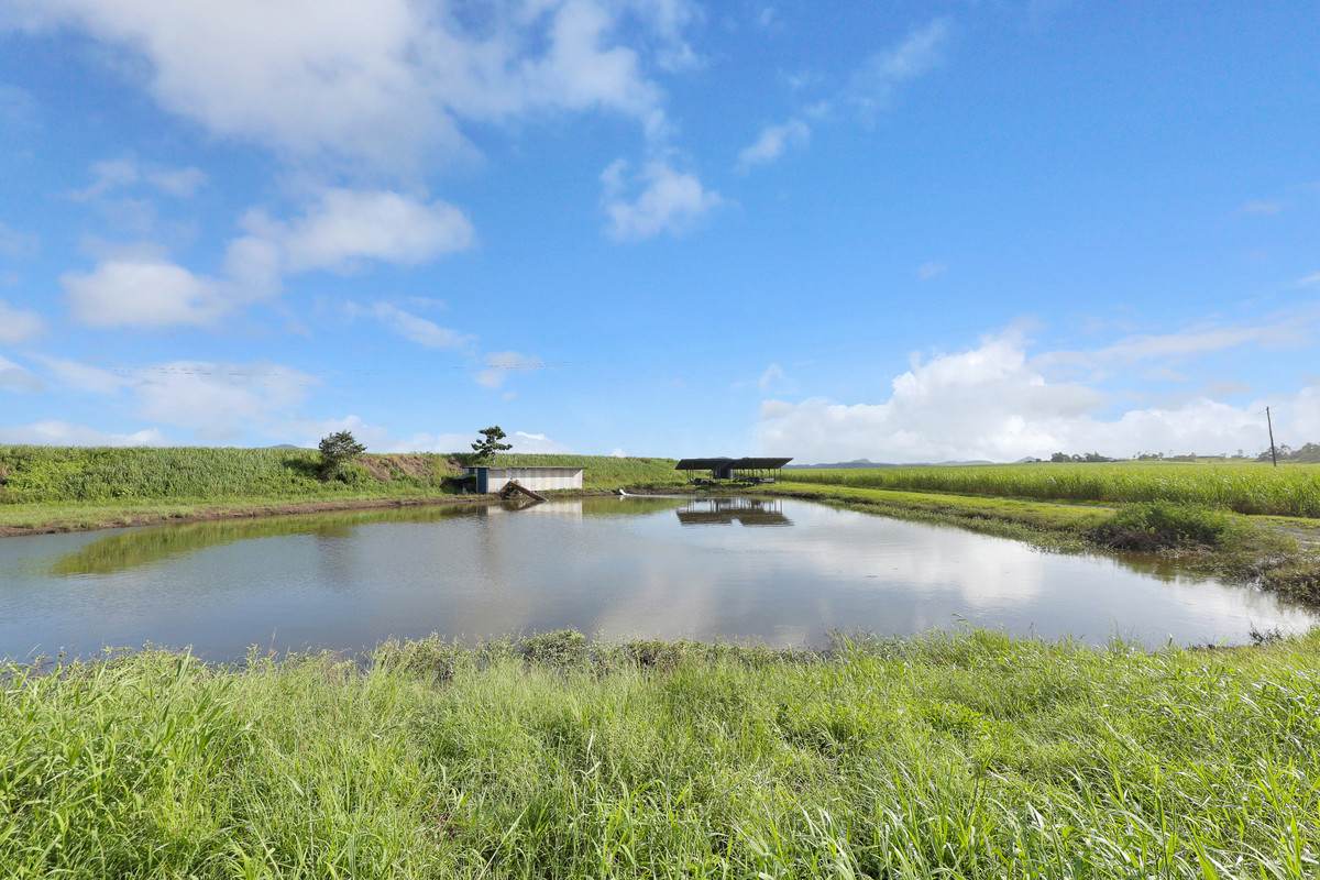 214 Kennys Road, Marian For Sale by Farmbuy.com - image 13