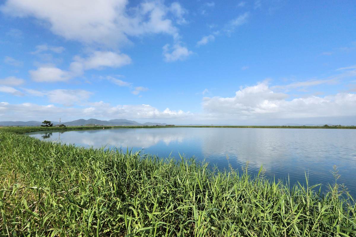 214 Kennys Road, Marian For Sale by Farmbuy.com - image 5