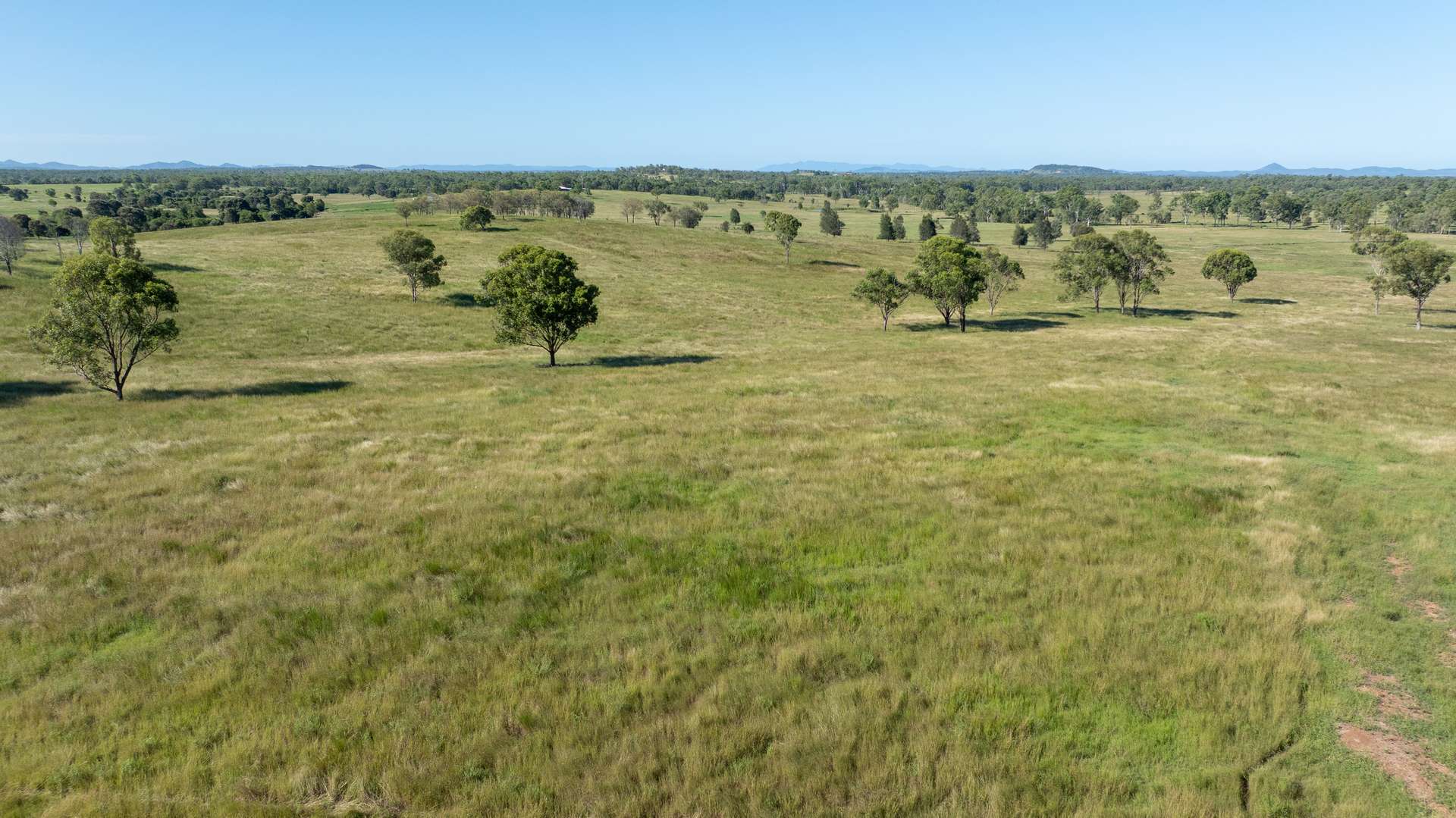 244 Weale Creek Road, Ridgelands For Sale by Farmbuy.com - image 15