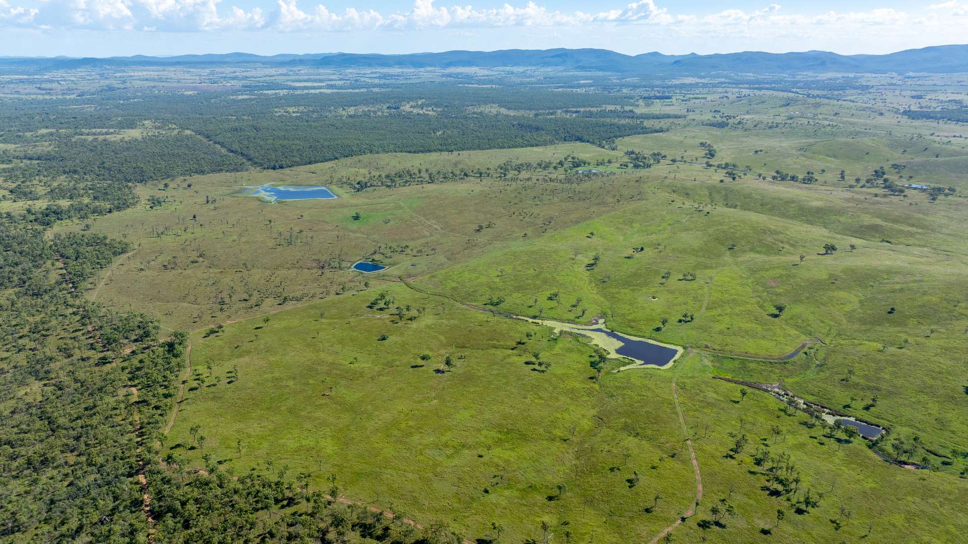 244 Weale Creek Road, Ridgelands For Sale by Farmbuy.com - image 16