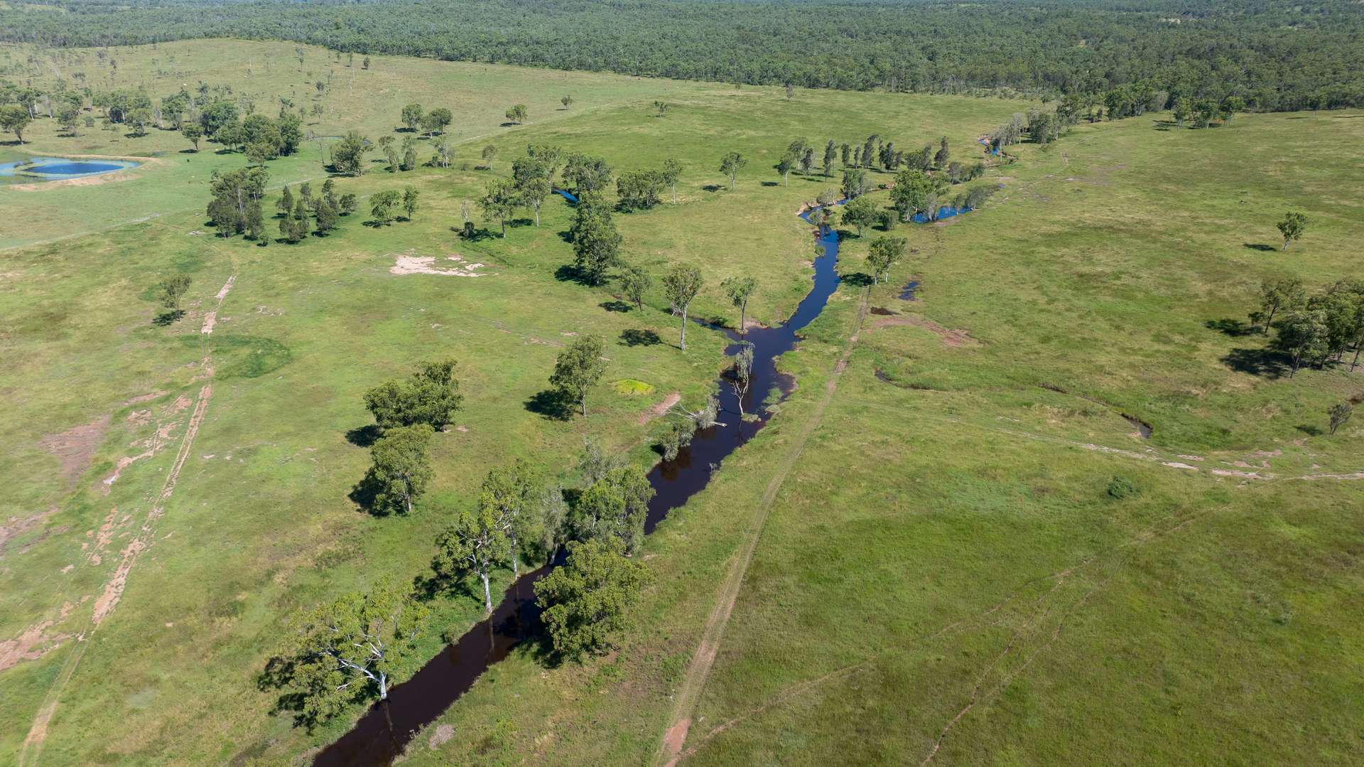 244 Weale Creek Road, Ridgelands For Sale by Farmbuy.com - image 11