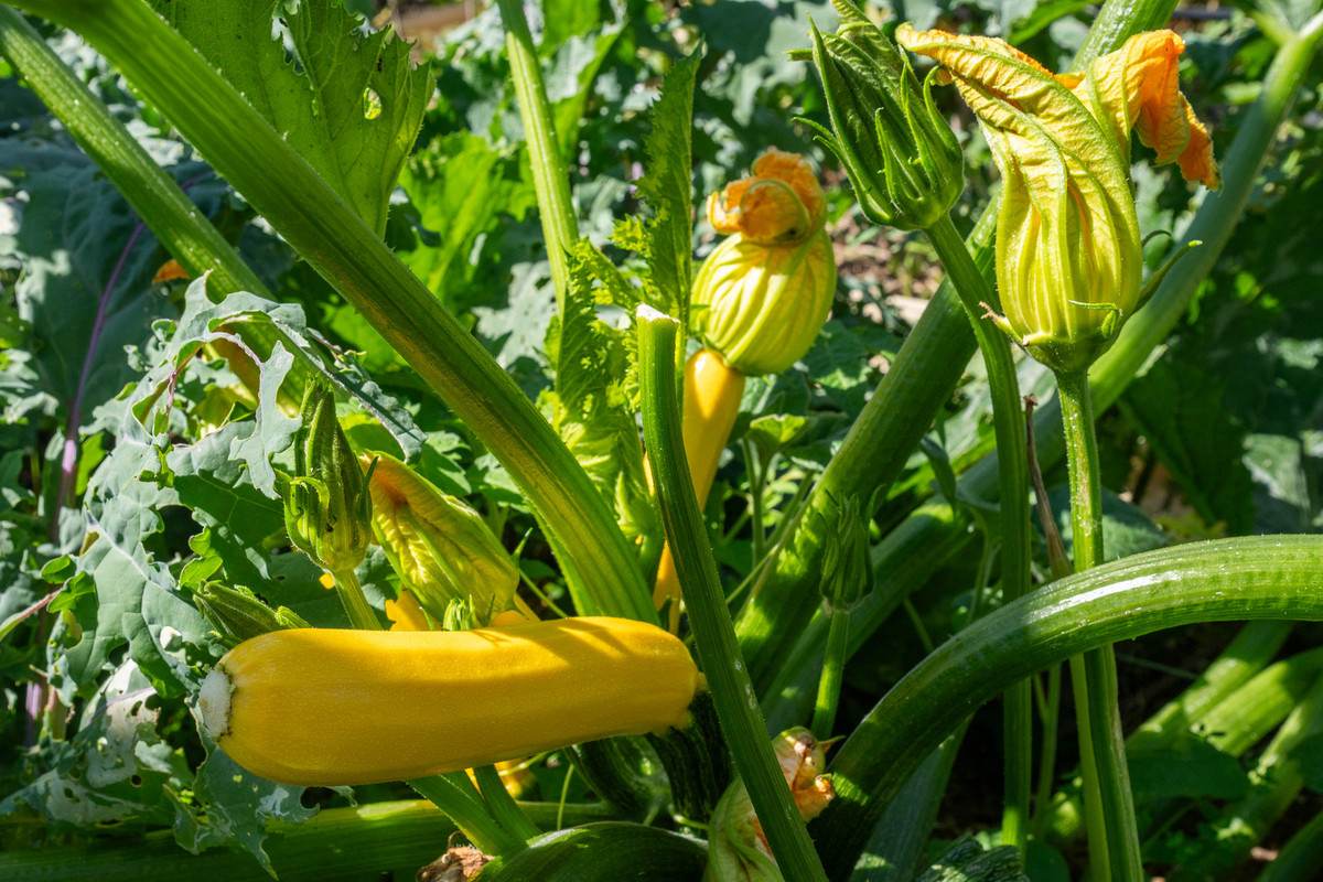 2480 Channel Highway, Lower Snug For Sale by Farmbuy.com - image 24