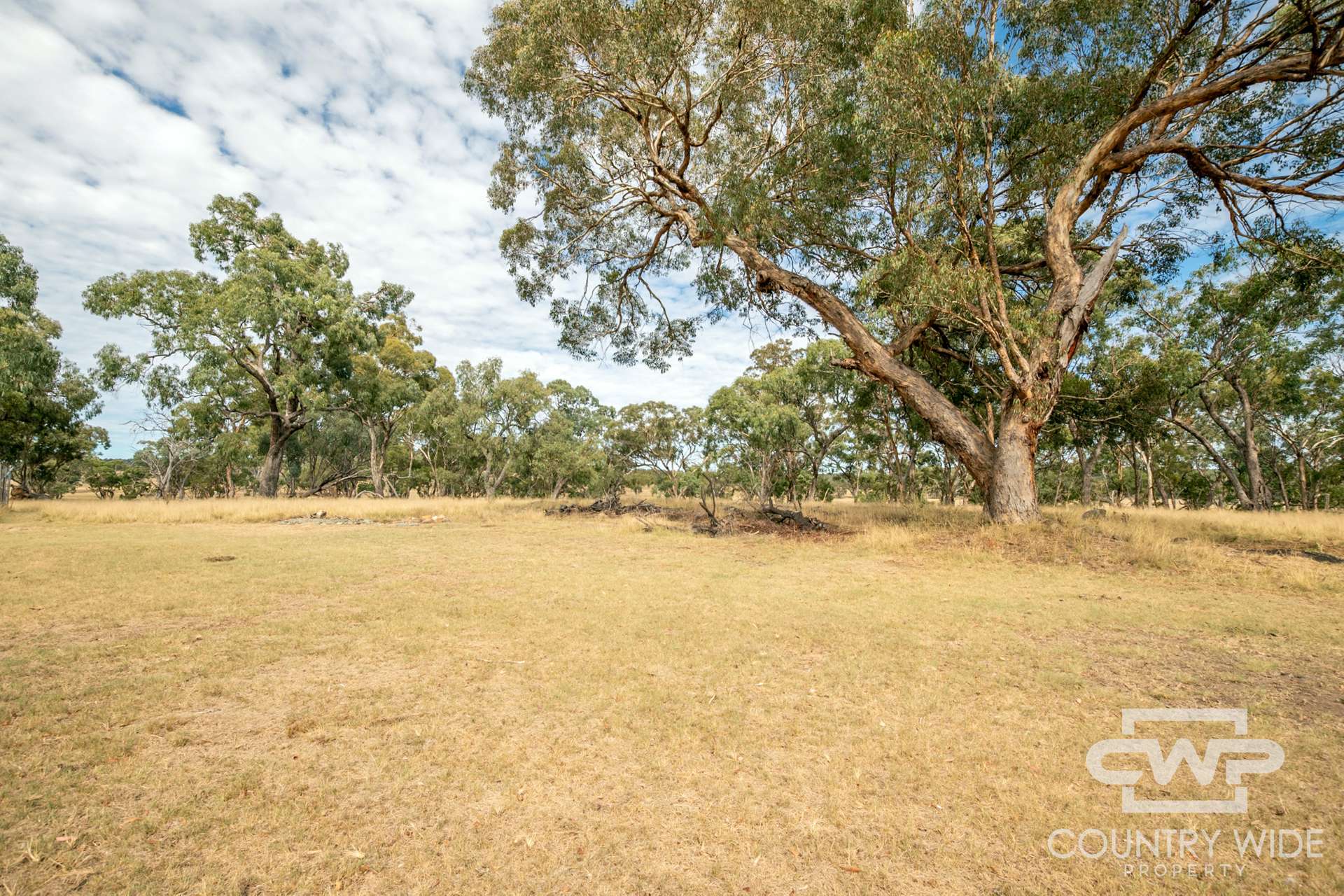 873 Polhill Road, Wellingrove For Sale by Farmbuy.com - image 21