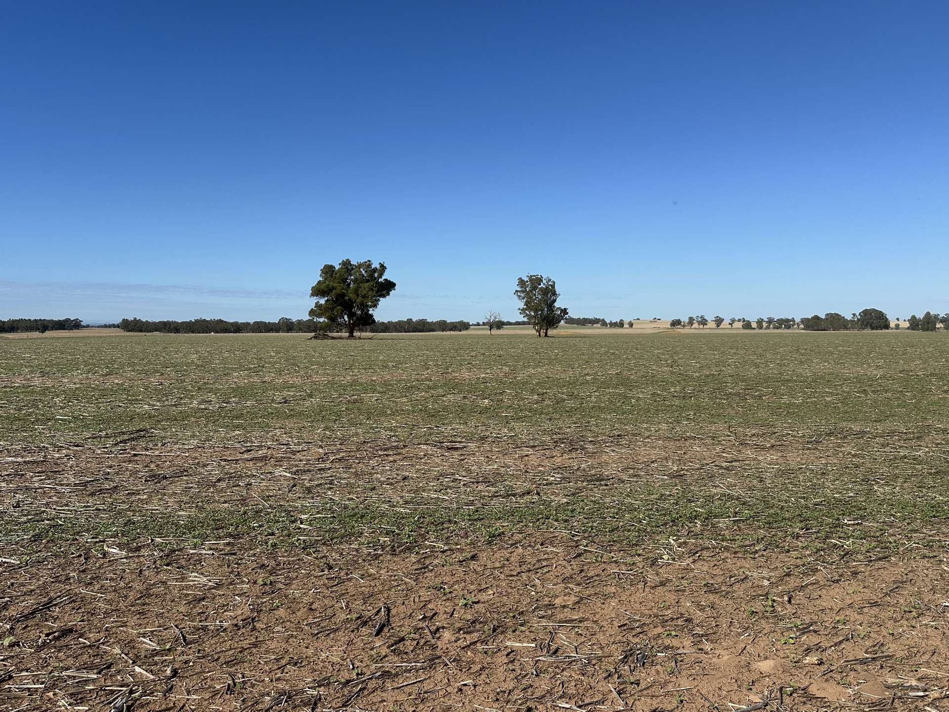. Lilydale Road, Balldale For Sale by Farmbuy.com - image 9