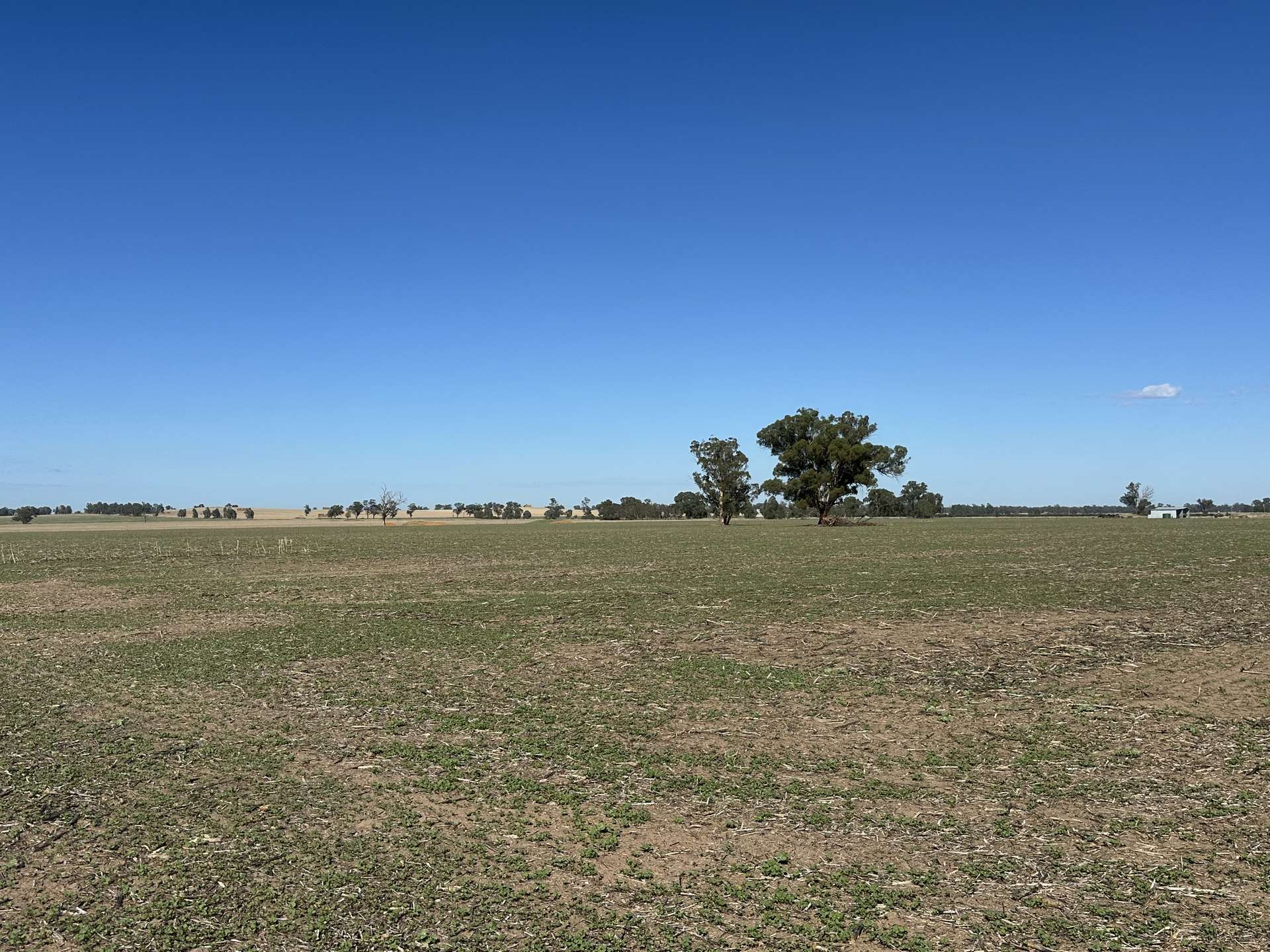 . Lilydale Road, Balldale For Sale by Farmbuy.com - image 10