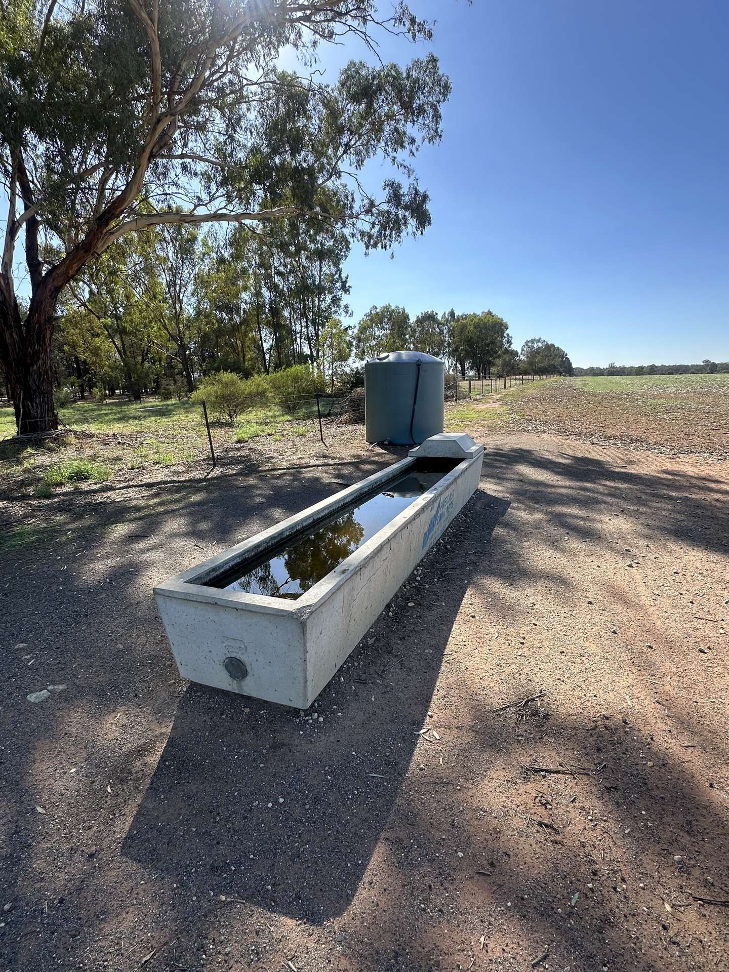 . Lilydale Road, Balldale For Sale by Farmbuy.com - image 2