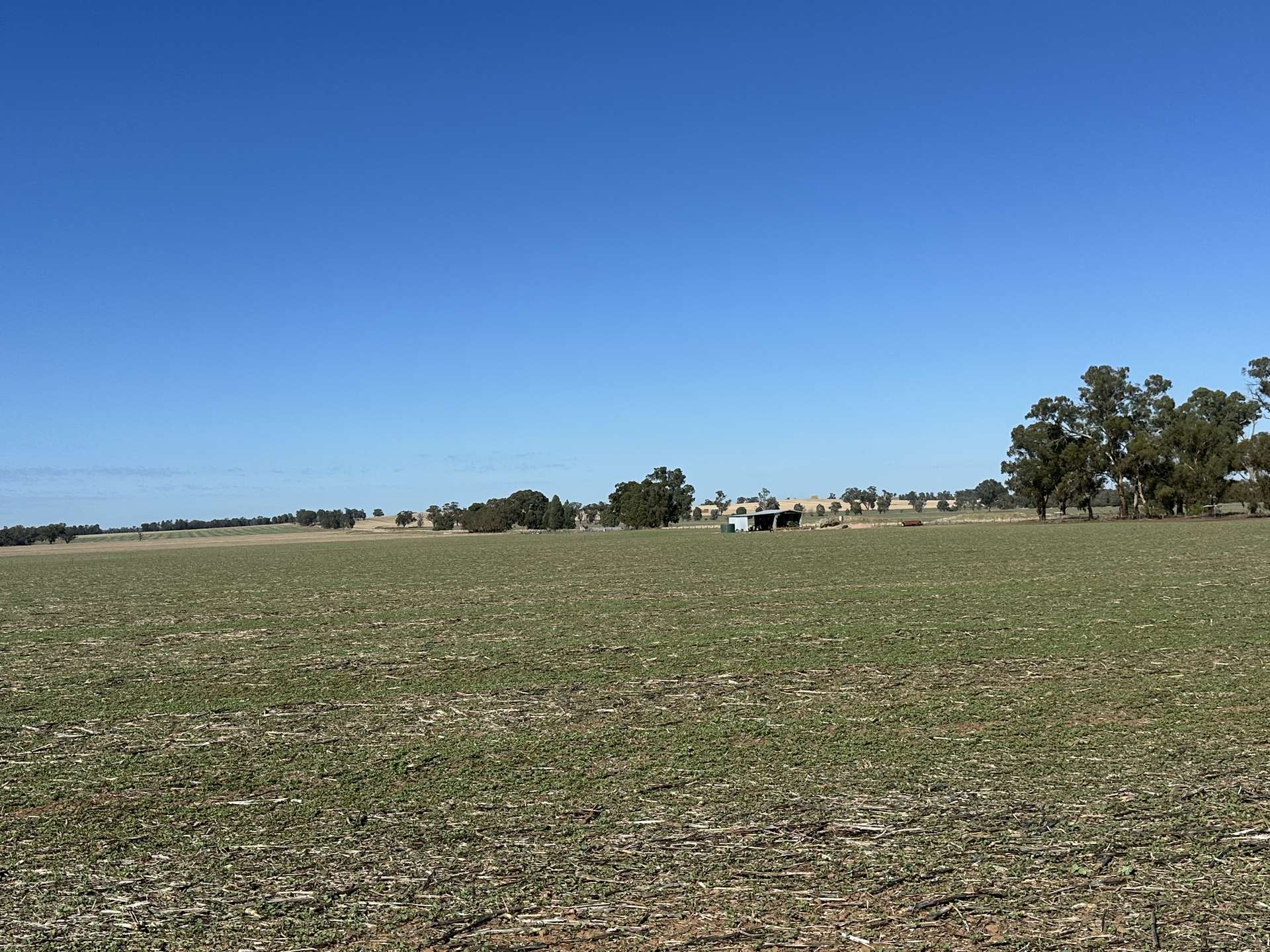 . Lilydale Road, Balldale For Sale by Farmbuy.com - image 8