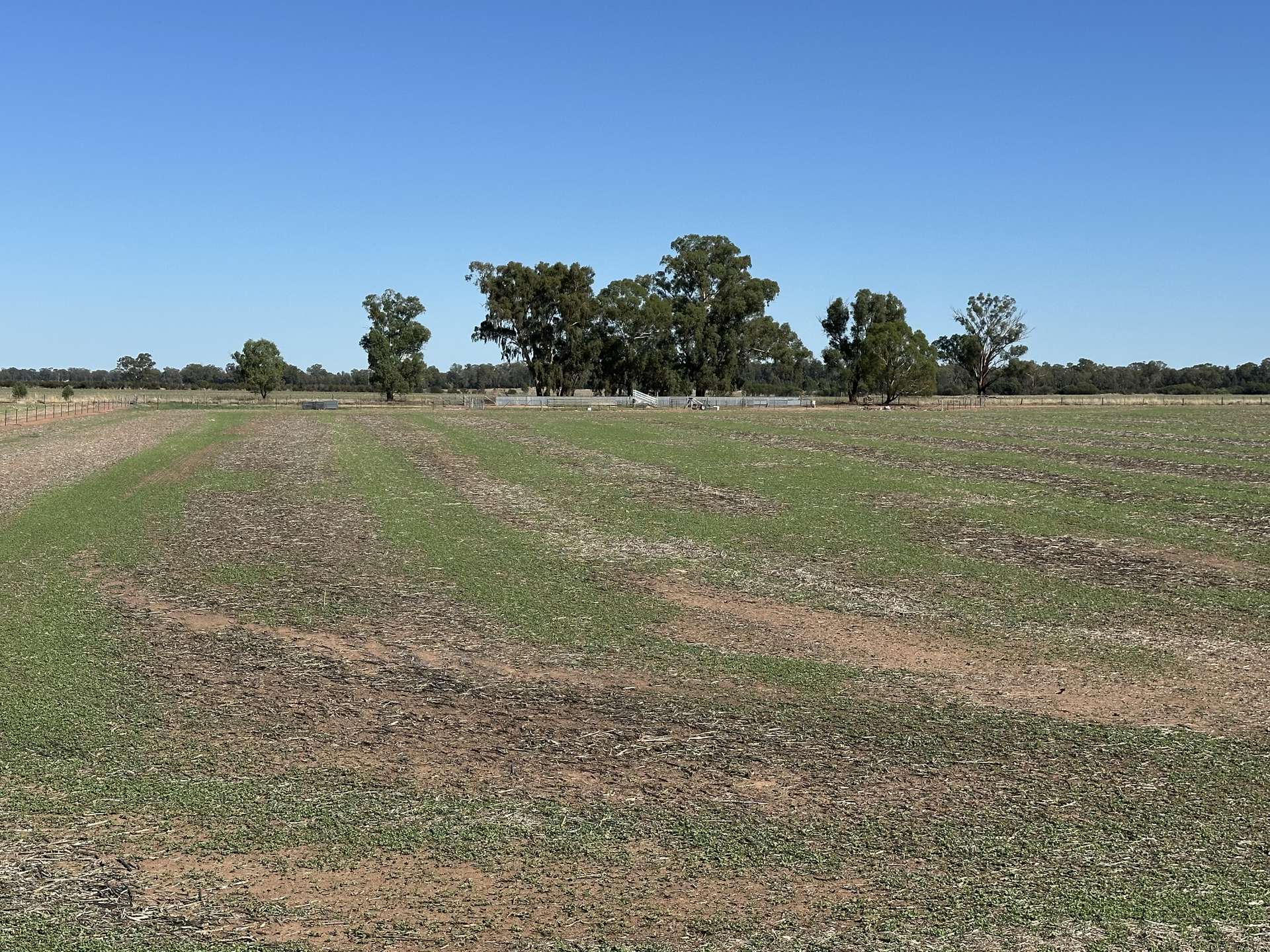 . Lilydale Road, Balldale For Sale by Farmbuy.com - image 15