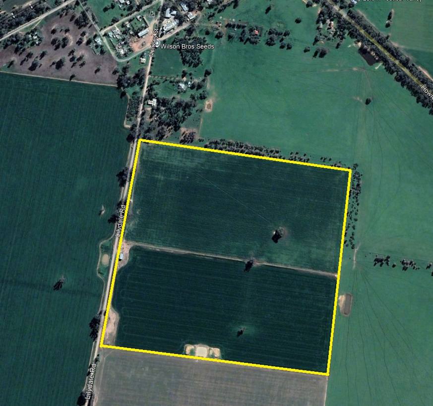 . Lilydale Road, Balldale For Sale by Farmbuy.com - image 18