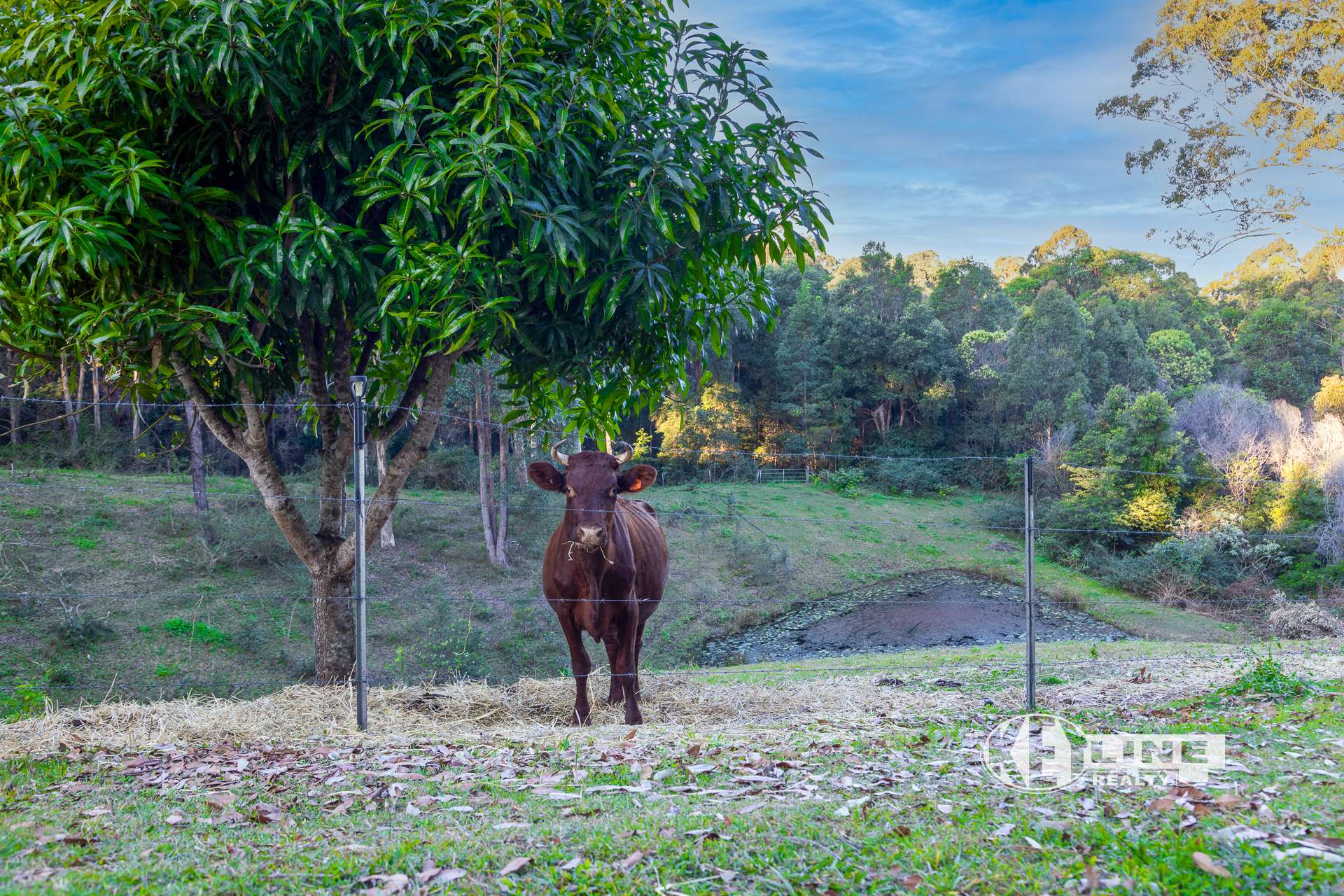 532 Wilson Road, Tanawha For Sale by Farmbuy.com - image 11