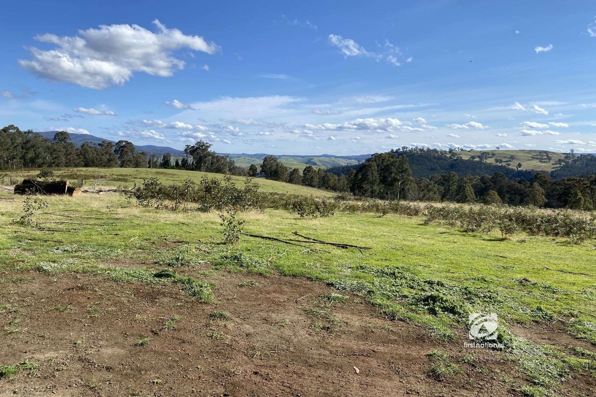 Lot 1/303 Basin Road, Buchan For Sale by Farmbuy.com - image 2