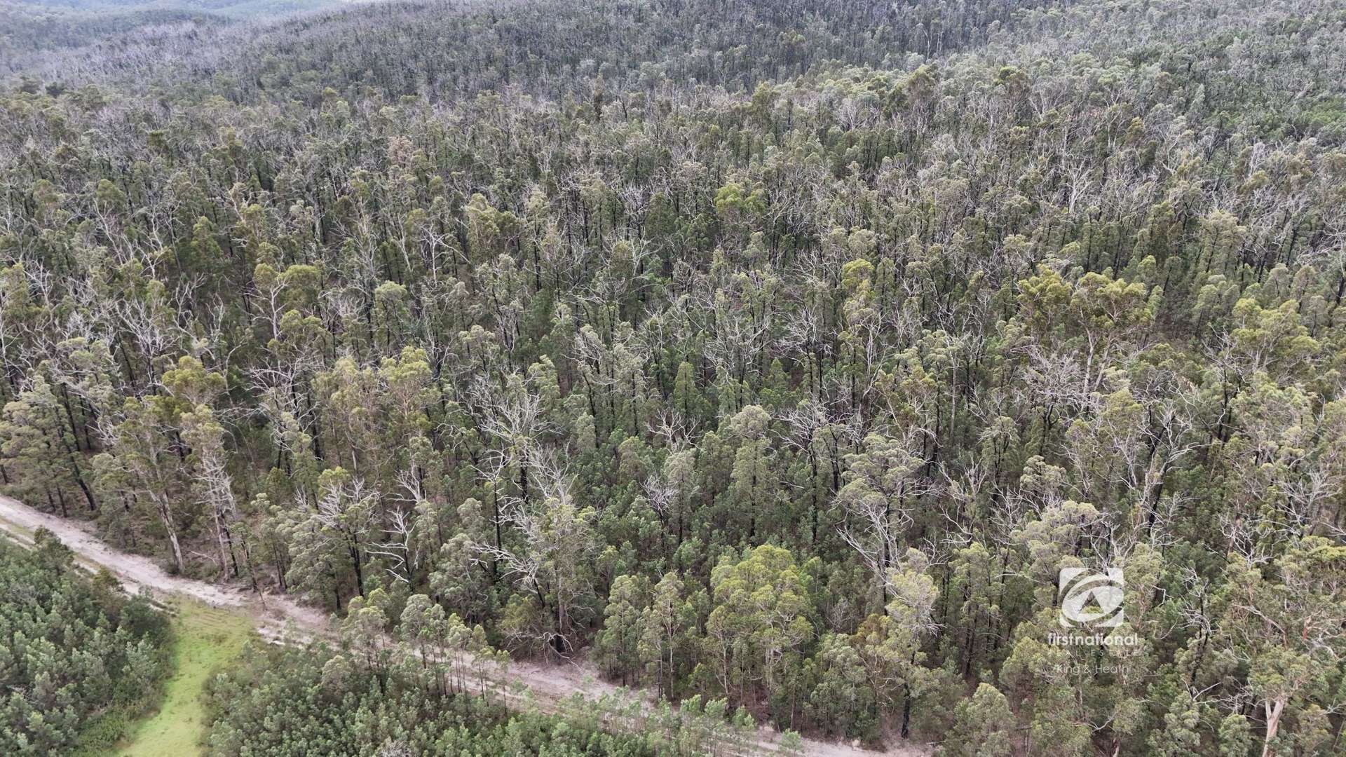 Lot 1/303 Basin Road, Buchan For Sale by Farmbuy.com - image 11