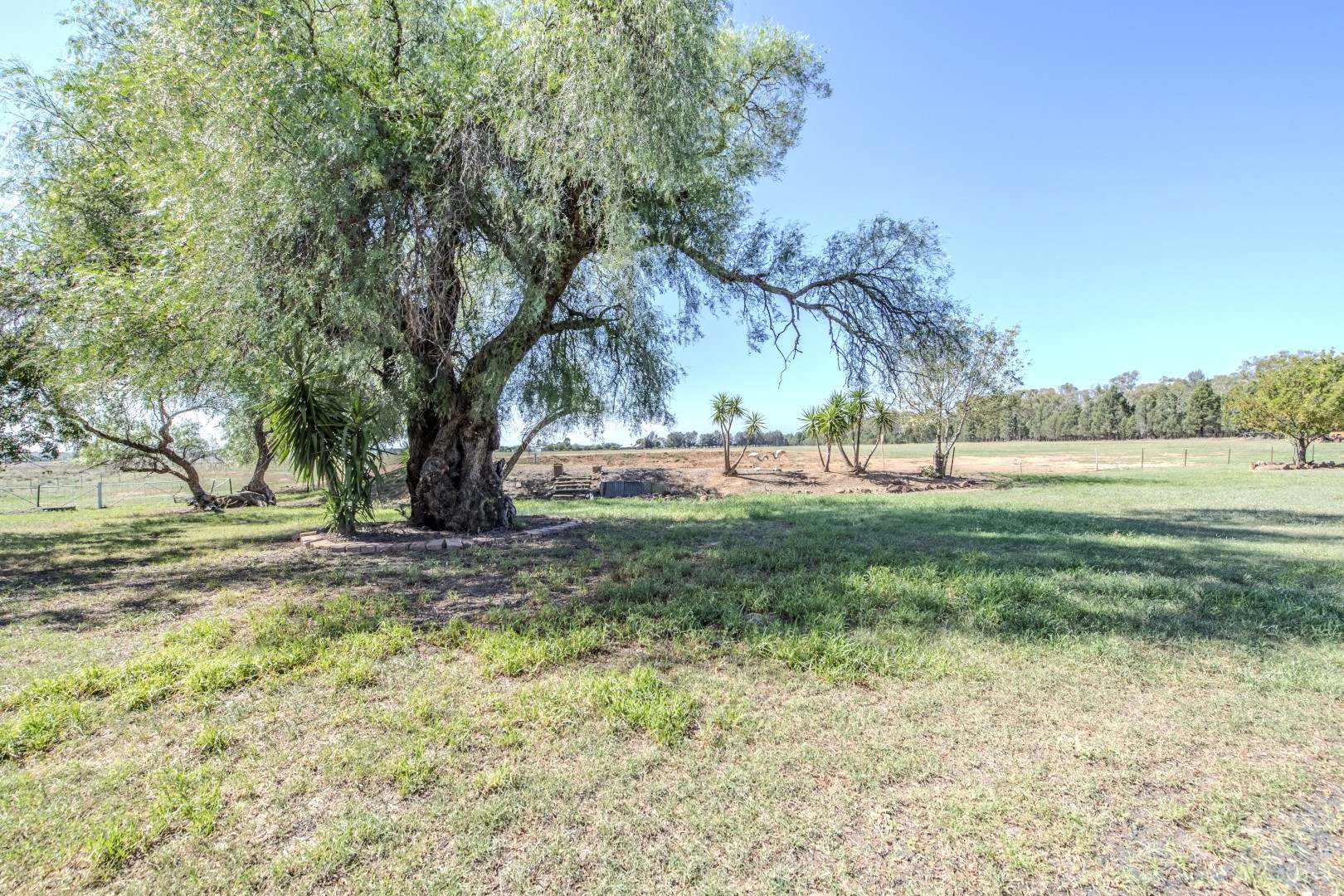 105L Bunglegumbie Road, Dubbo For Sale by Farmbuy.com - image 30