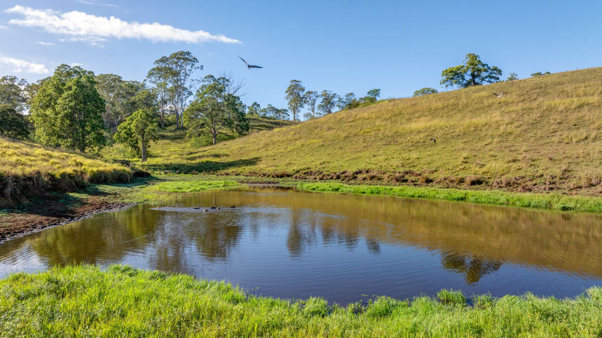 2898 The Bucketts Way, Stroud For Sale by Farmbuy.com - image 21