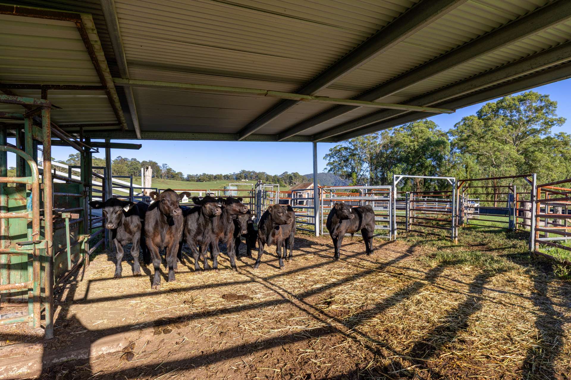 2898 The Bucketts Way, Stroud For Sale by Farmbuy.com - image 12