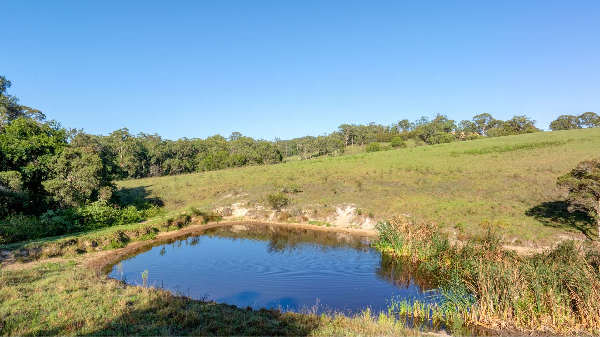 2898 The Bucketts Way, Stroud For Sale by Farmbuy.com - image 18