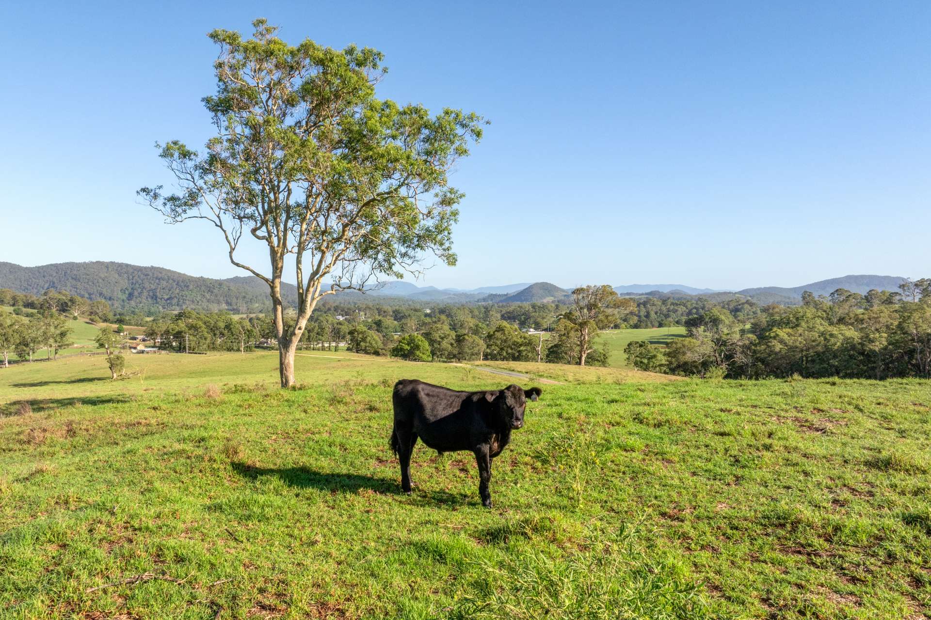 2898 The Bucketts Way, Stroud For Sale by Farmbuy.com - image 5