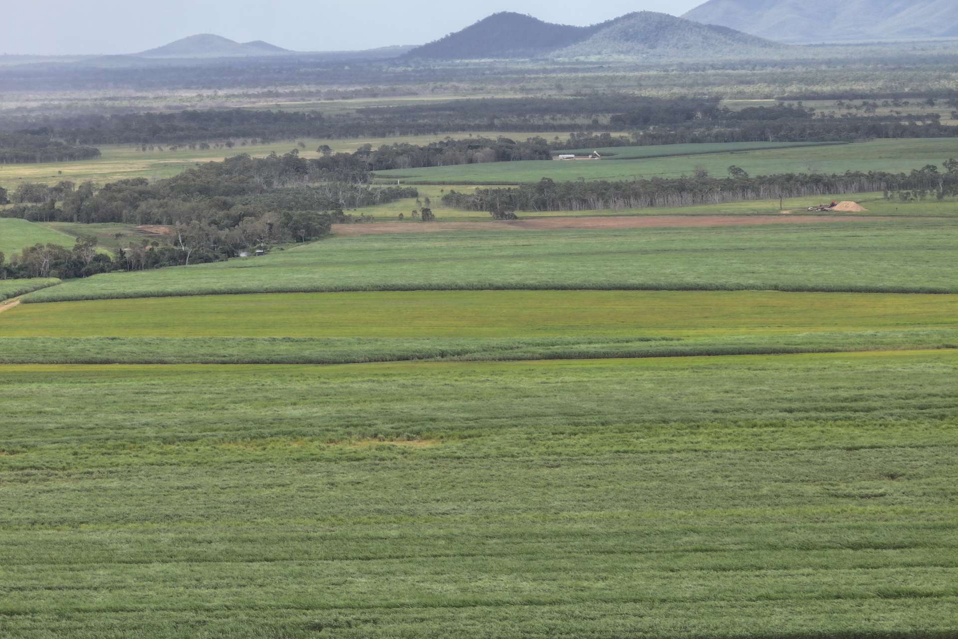 Lot 4 Wandarra Road, Foxdale For Sale by Farmbuy.com - image 2