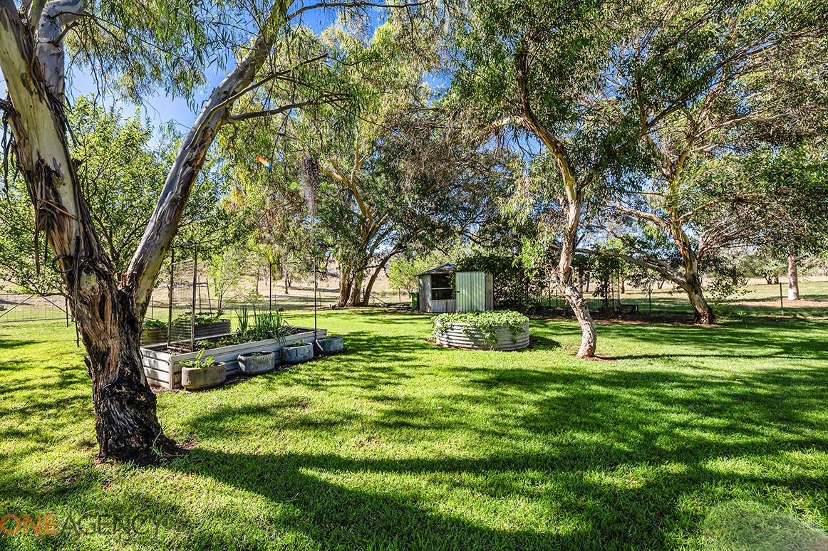 477 Mousehole Lane, Orange For Sale by Farmbuy.com - image 16