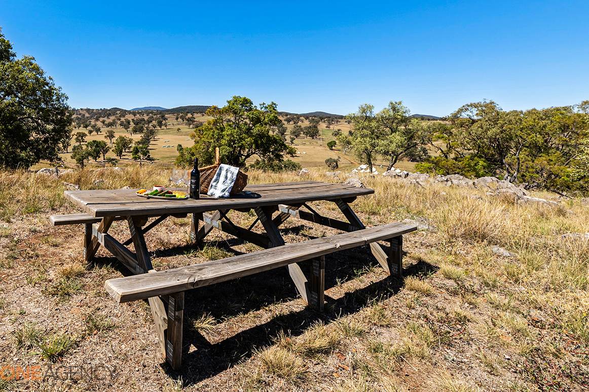 477 Mousehole Lane, Orange For Sale by Farmbuy.com - image 14