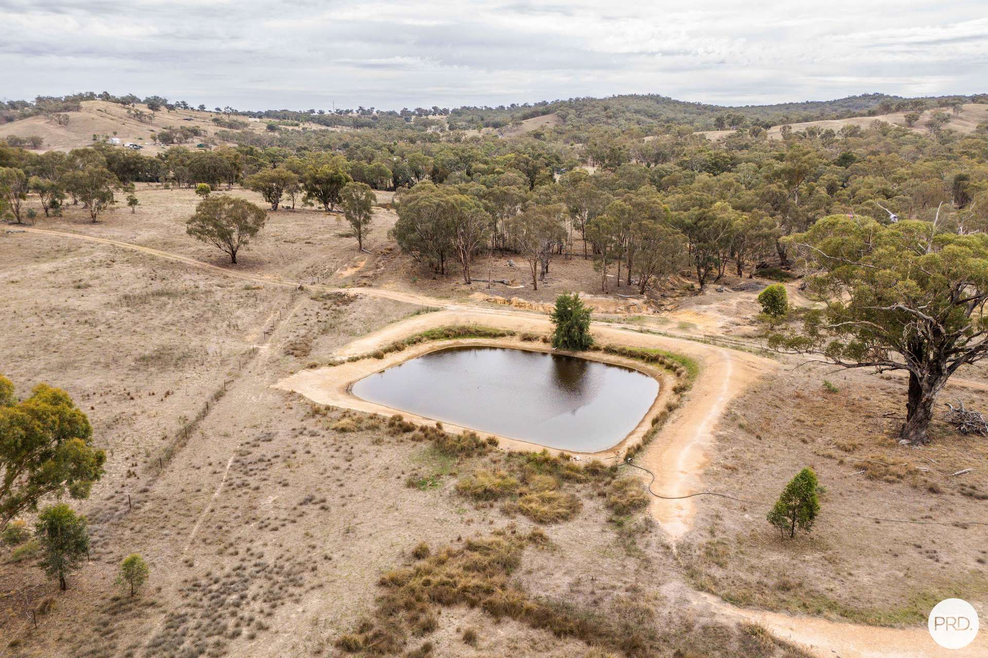 170 Farnham Road, Stuart Town For Sale by Farmbuy.com - image 6