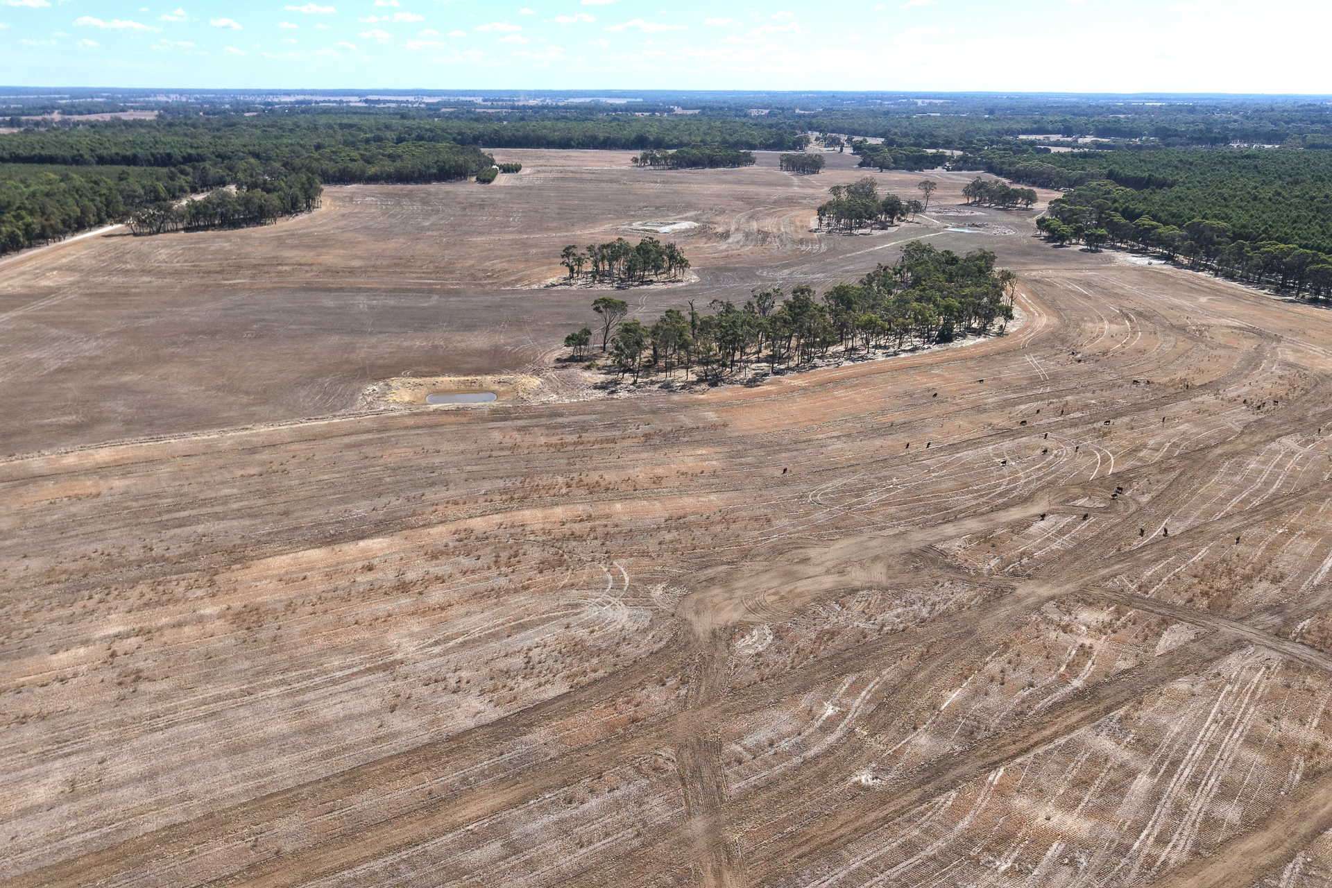 300 Mitchell Road, Mount Barker For Sale by Farmbuy.com - image 11