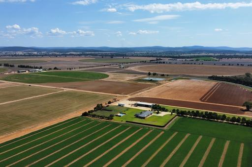 Farm For Sale - NSW - Cowra - 2794 - HIGHLY DEVELOPED IRRIGATION FARM! BUY in part or as a whole 
