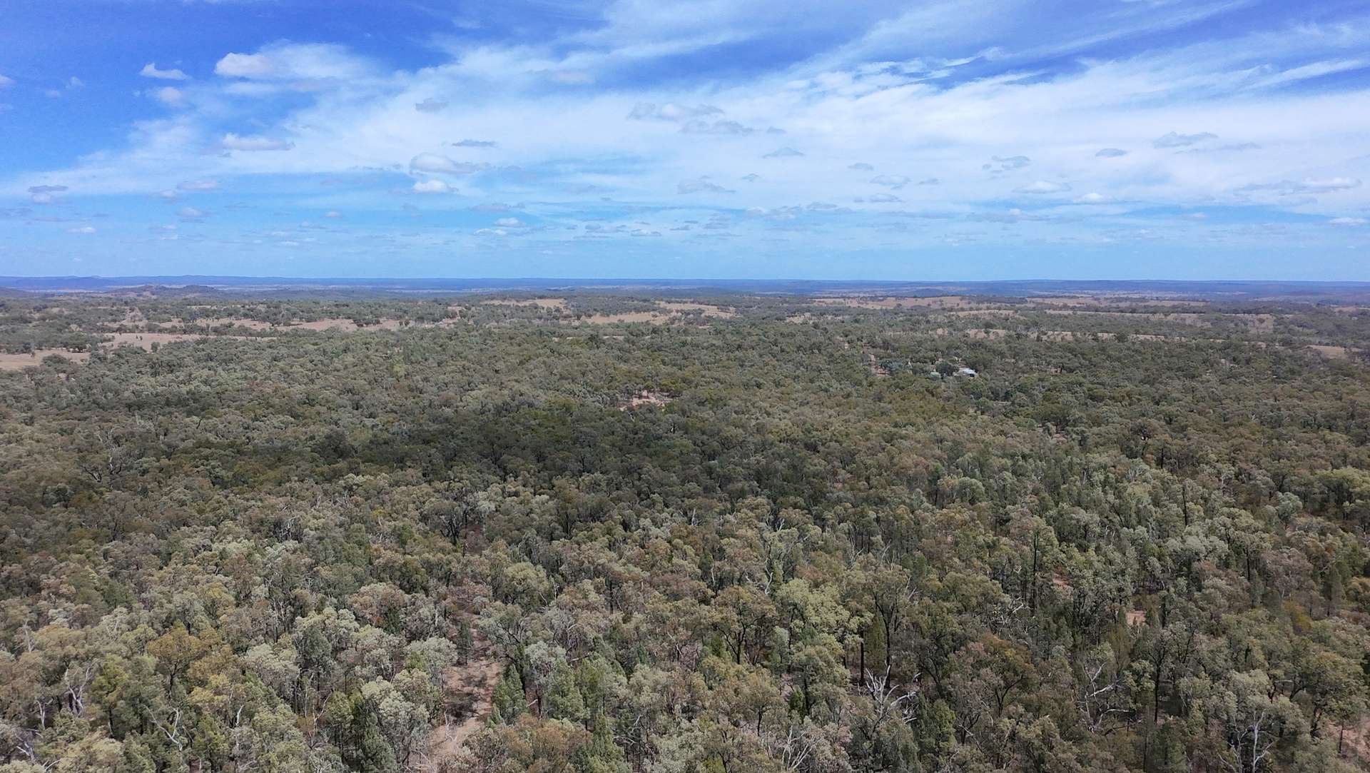 566 Waverley Lane, Silver Spur For Sale by Farmbuy.com - image 16