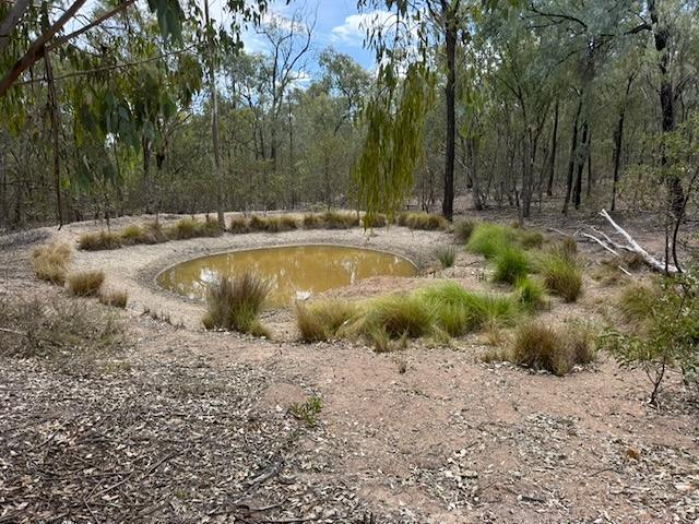 566 Waverley Lane, Silver Spur For Sale by Farmbuy.com - image 12