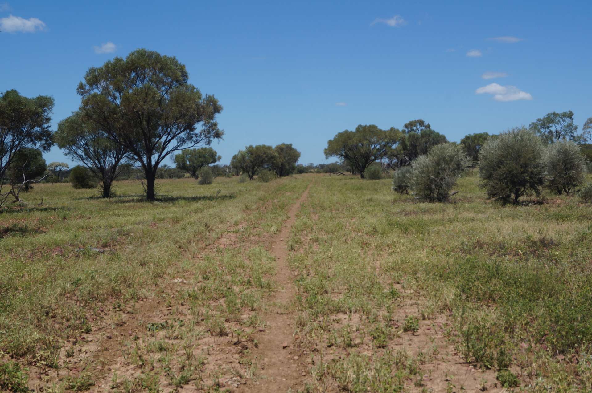 1 Baratria Road, Longreach For Sale by Farmbuy.com - image 20