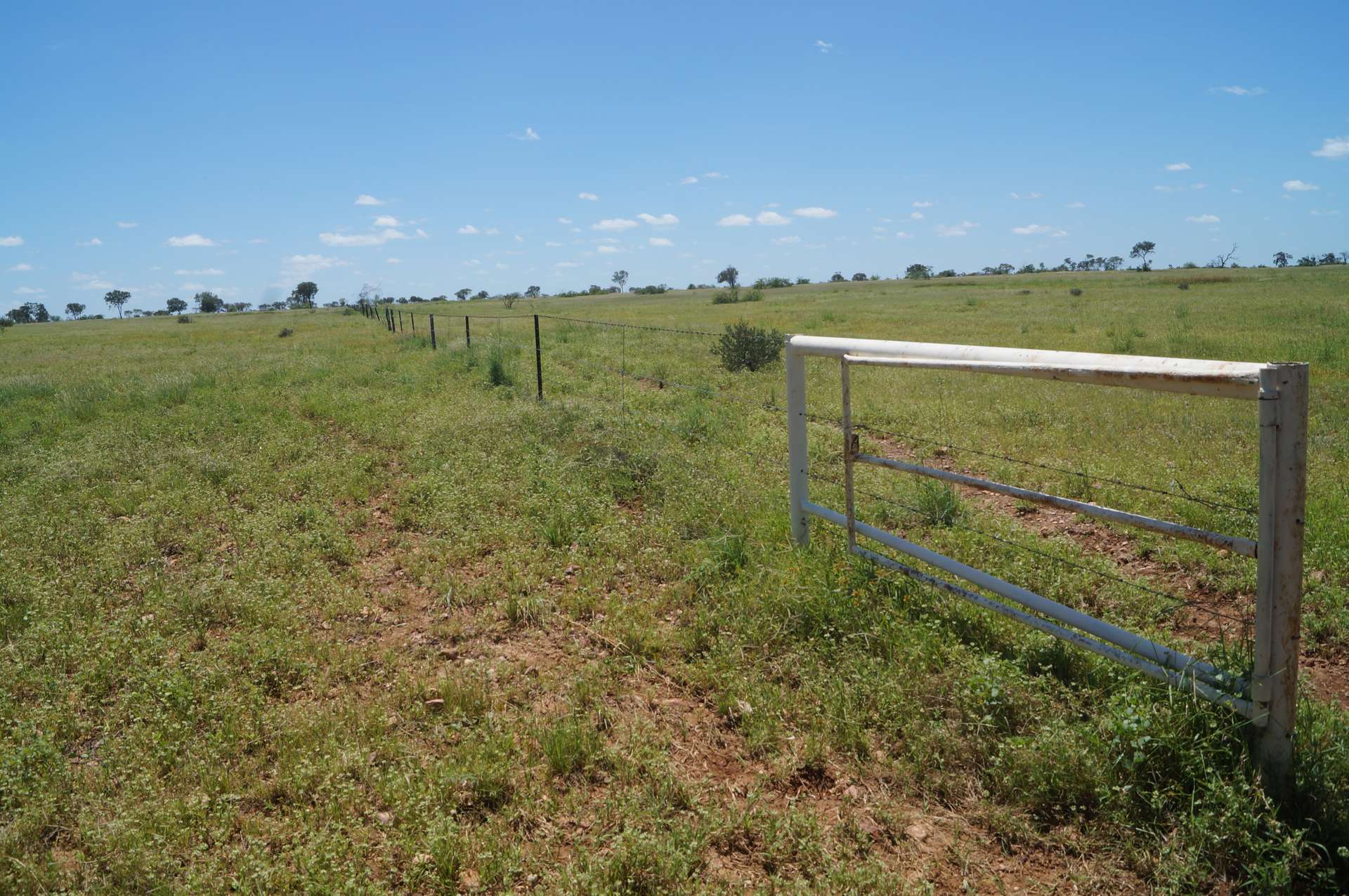 1 Baratria Road, Longreach For Sale by Farmbuy.com - image 28