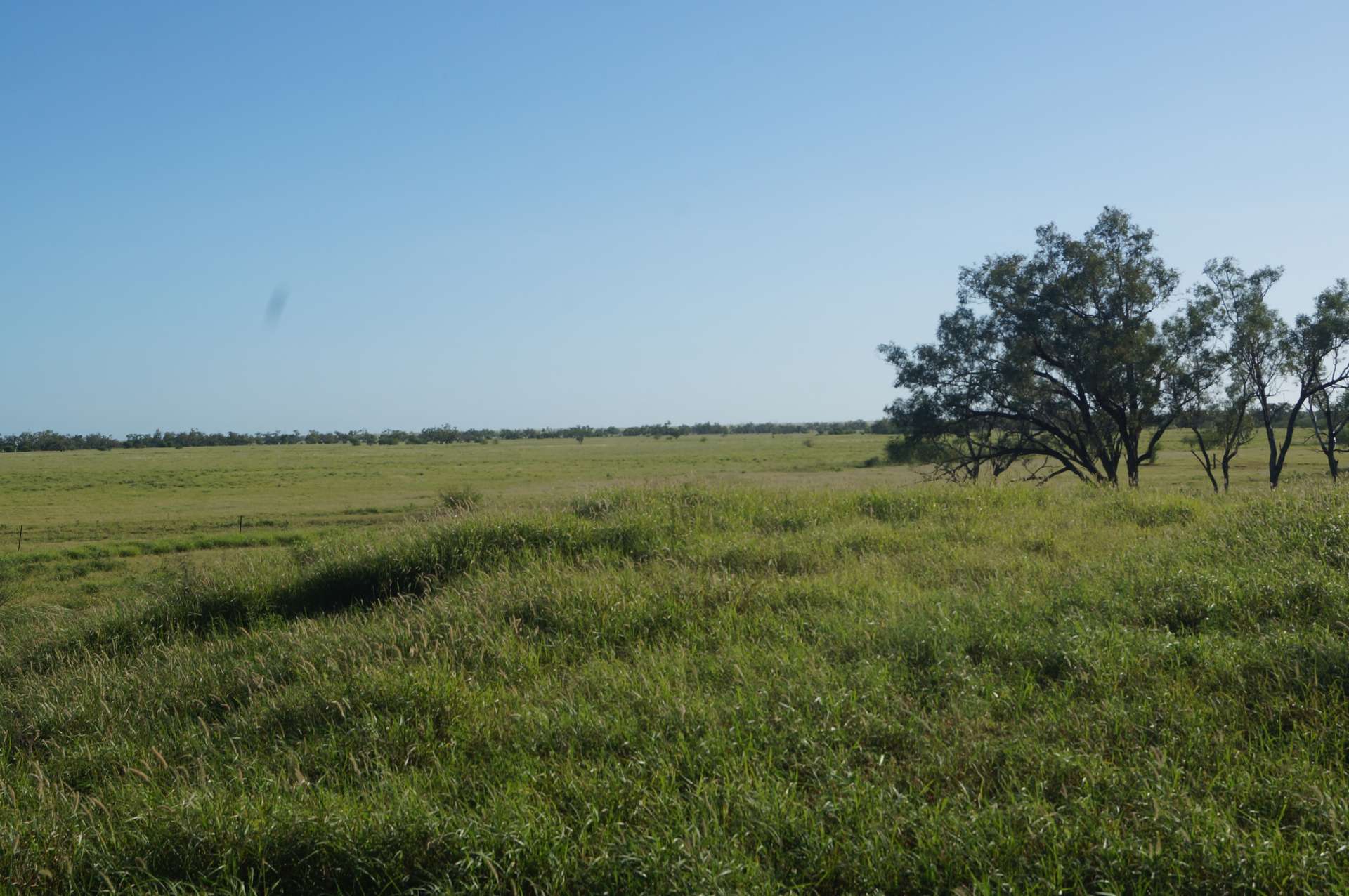 1 Baratria Road, Longreach For Sale by Farmbuy.com - image 9