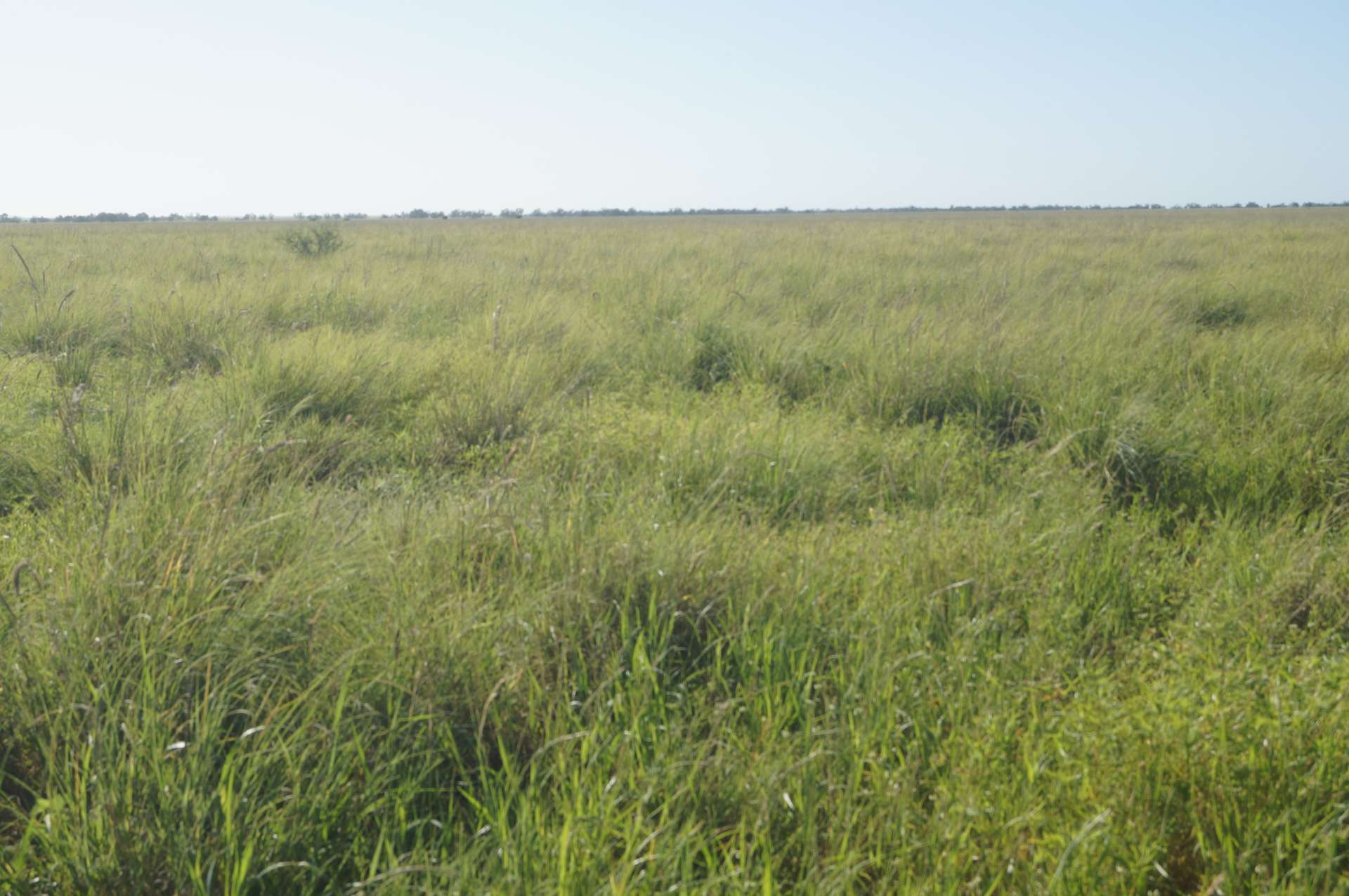 1 Baratria Road, Longreach For Sale by Farmbuy.com - image 19