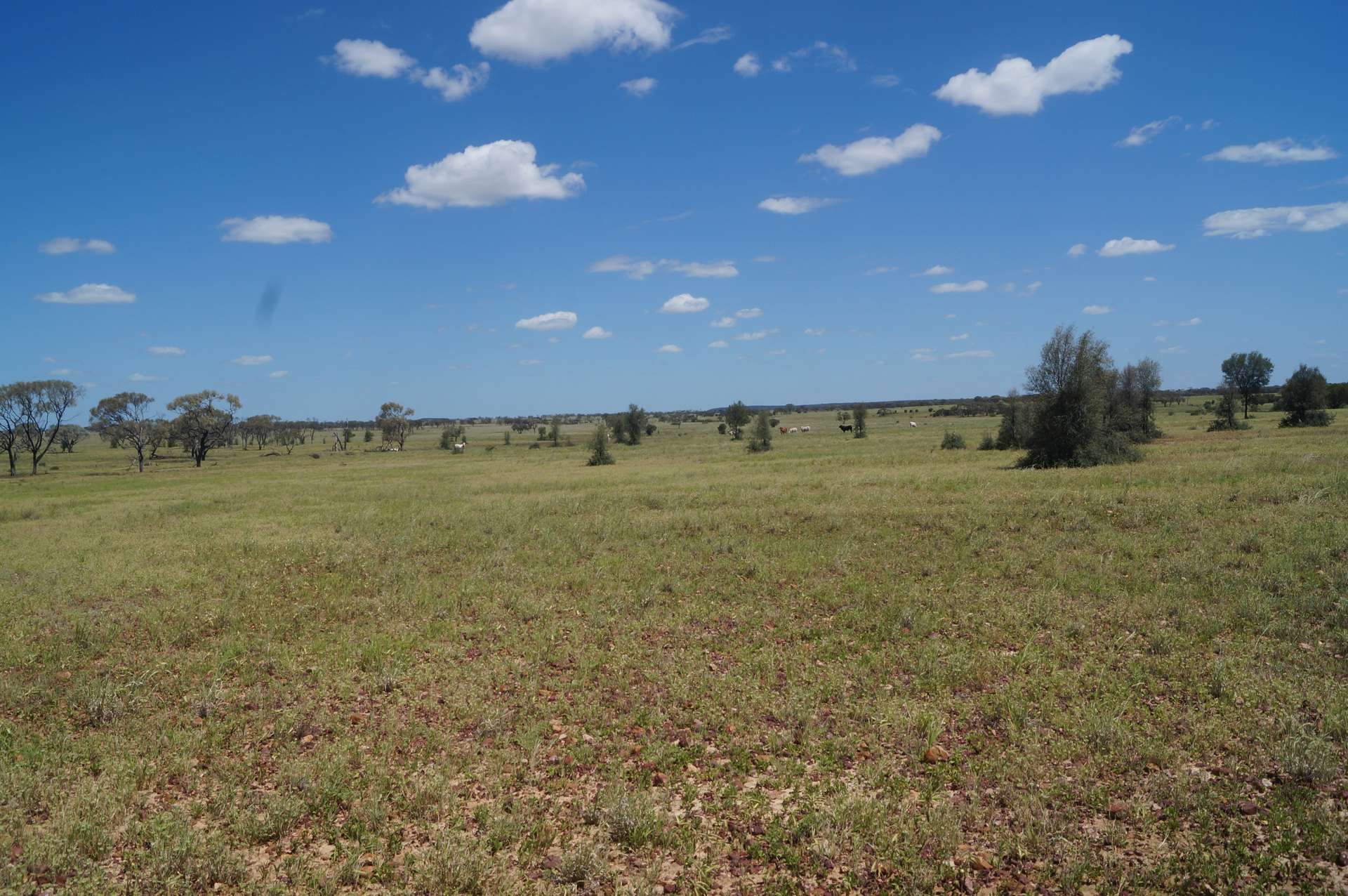 1 Baratria Road, Longreach For Sale by Farmbuy.com - image 30