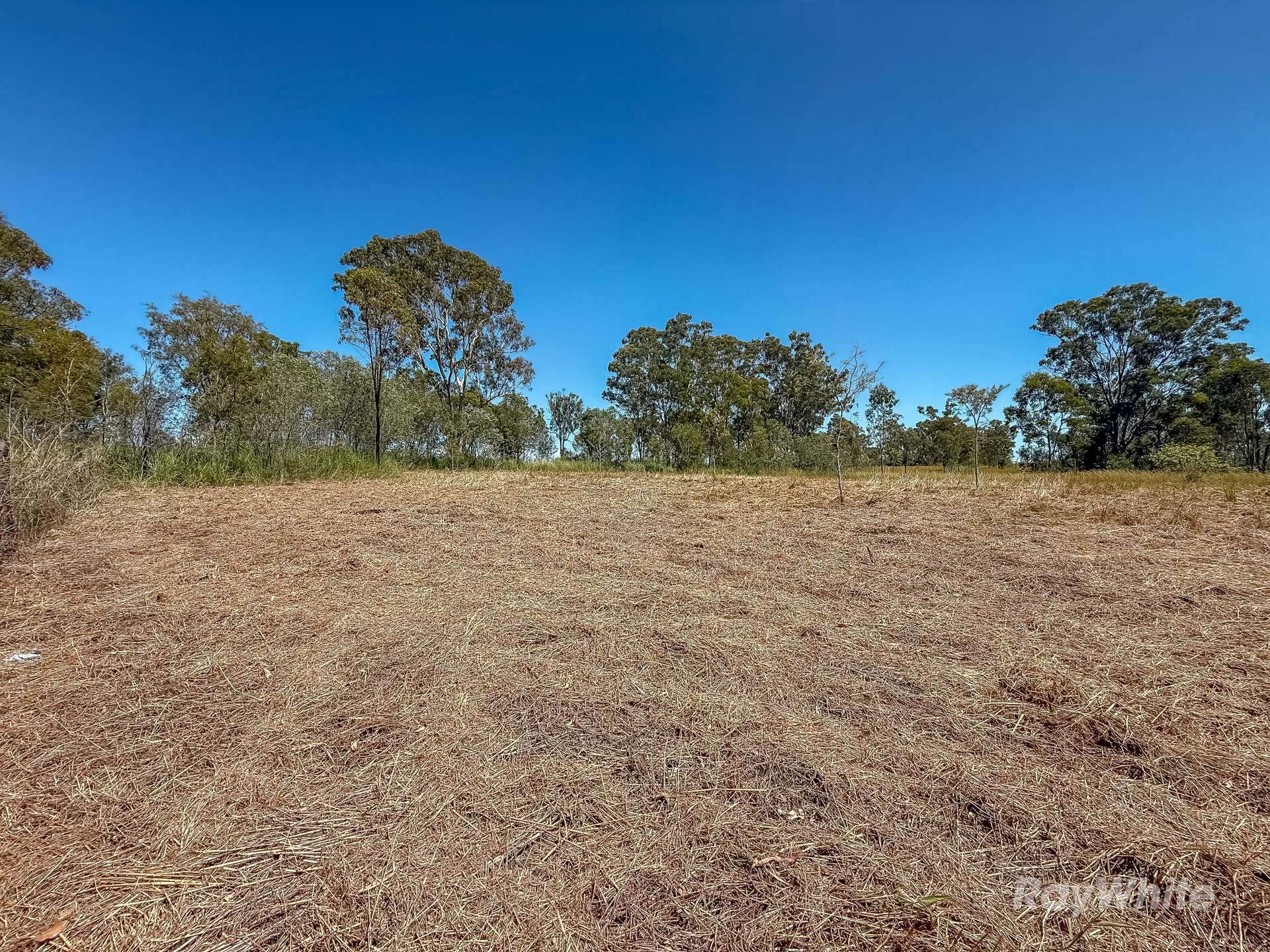Lot 1,  Bruce Highway, Monduran For Sale by Farmbuy.com - image 4
