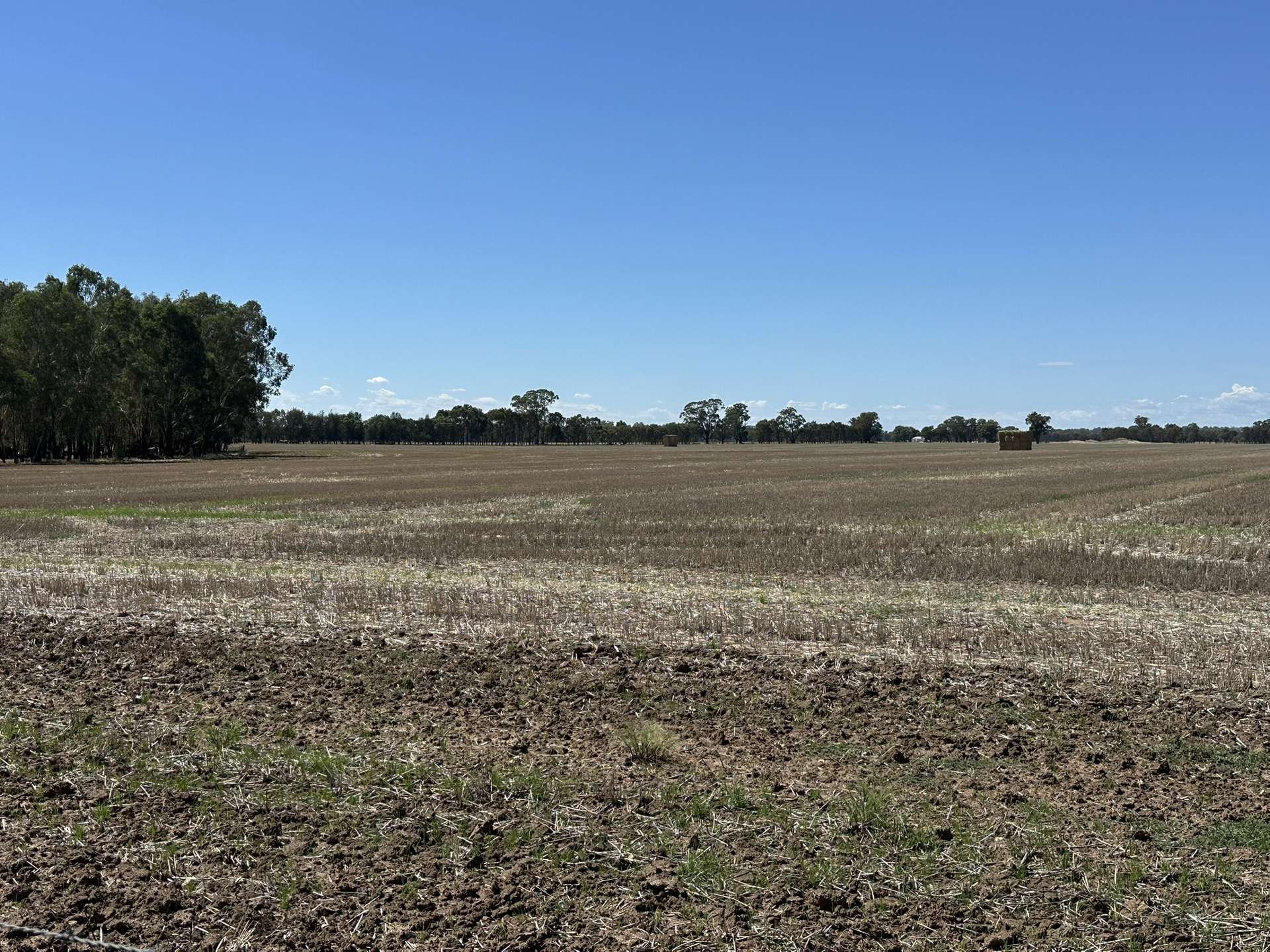 1501 Howlong-Goombargana Road, Brocklesby For Sale by Farmbuy.com - image 15