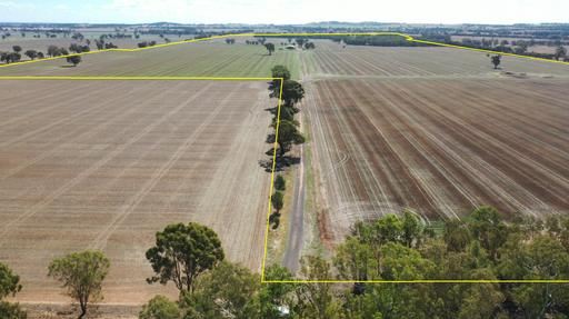 Farm For Sale - NSW - Brocklesby - 2642 - 491 Acres - Brocklesby - Versatile Farm Land 