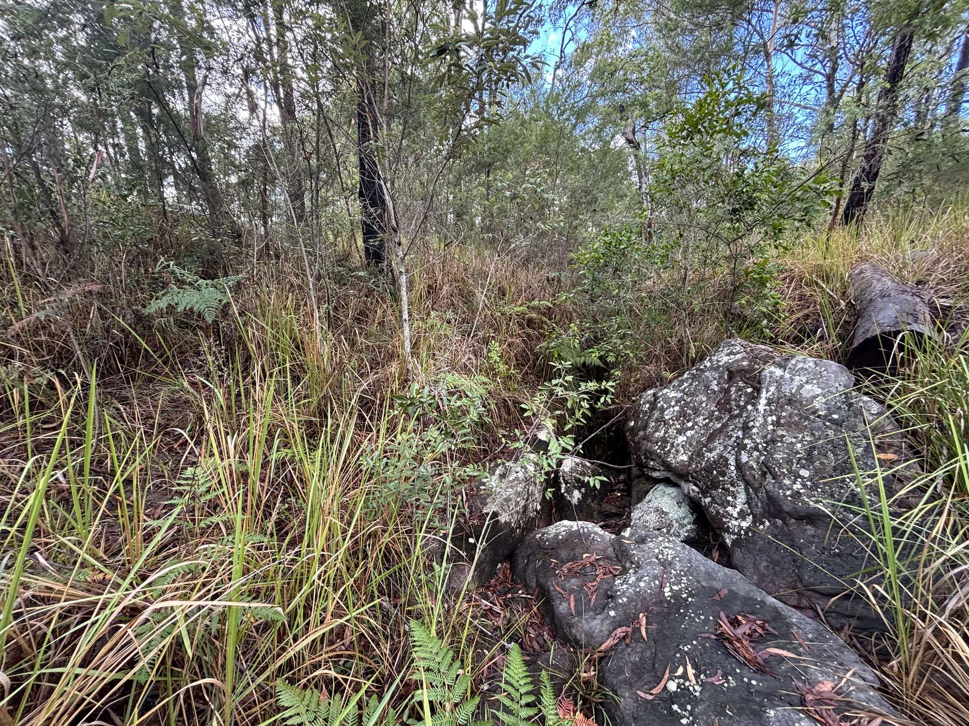 337 Clearview Road, Coutts Crossing For Sale by Farmbuy.com - image 20