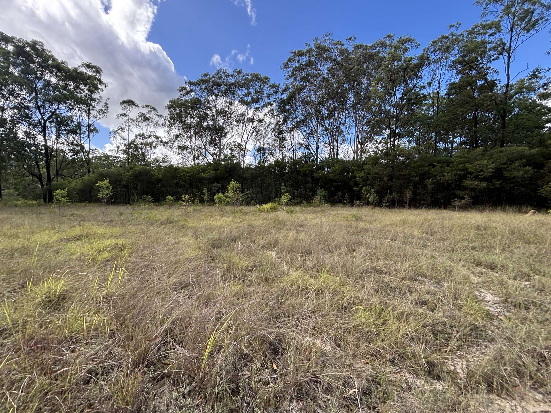 337 Clearview Road, Coutts Crossing For Sale by Farmbuy.com - image 19
