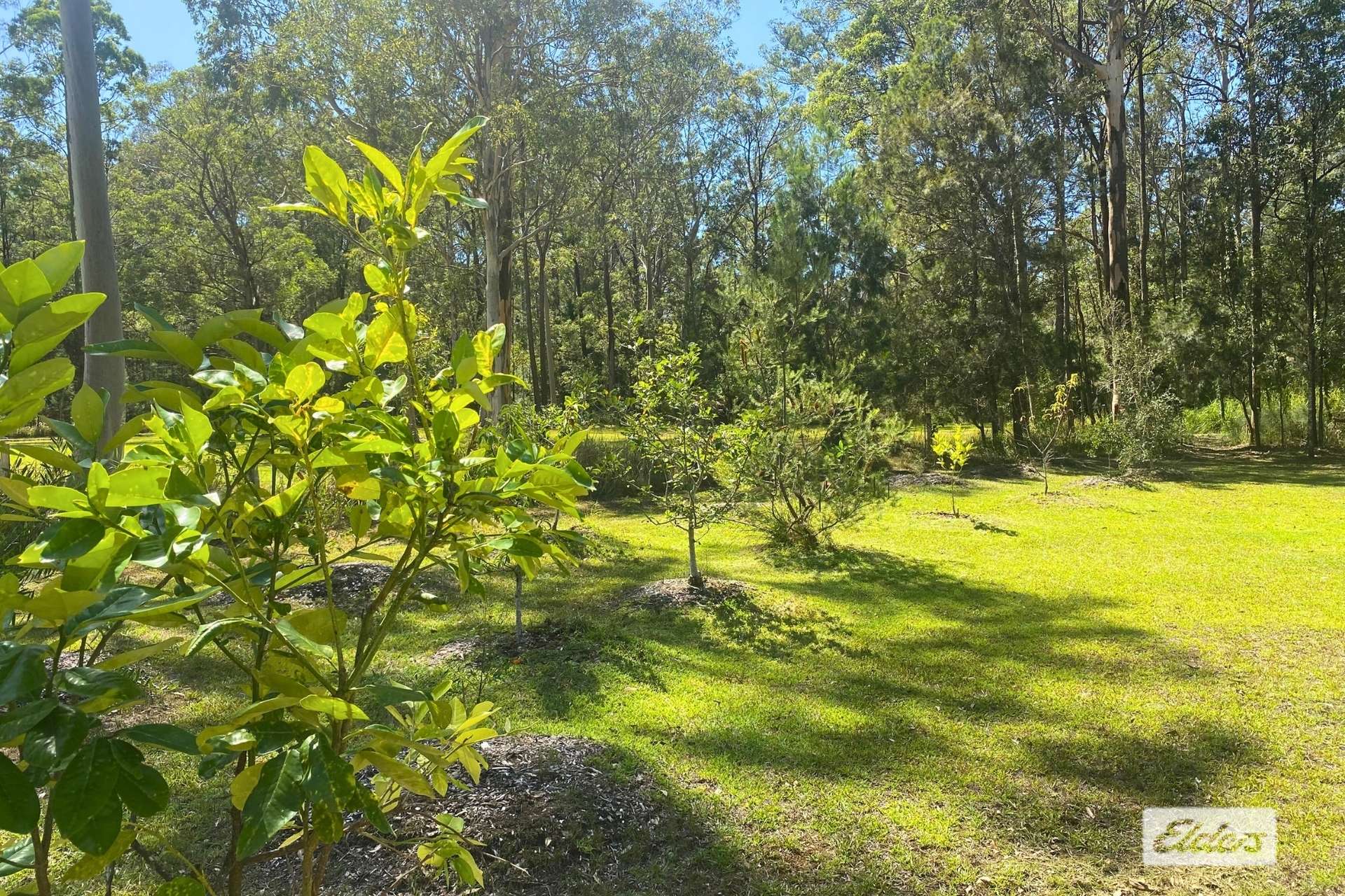 36 Kolinda Drive, Old Bar For Sale by Farmbuy.com - image 29