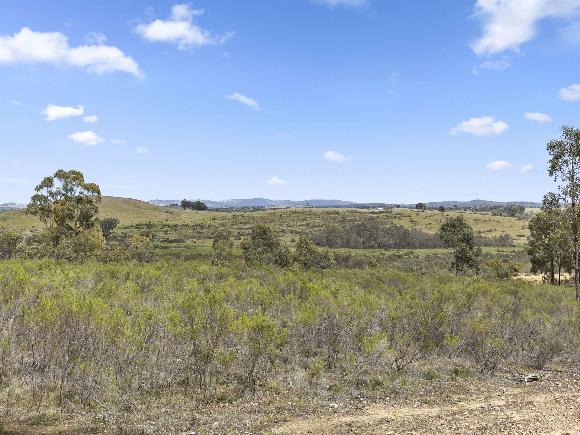 110 Bassett Lane, Hilldene For Sale by Farmbuy.com - image 34