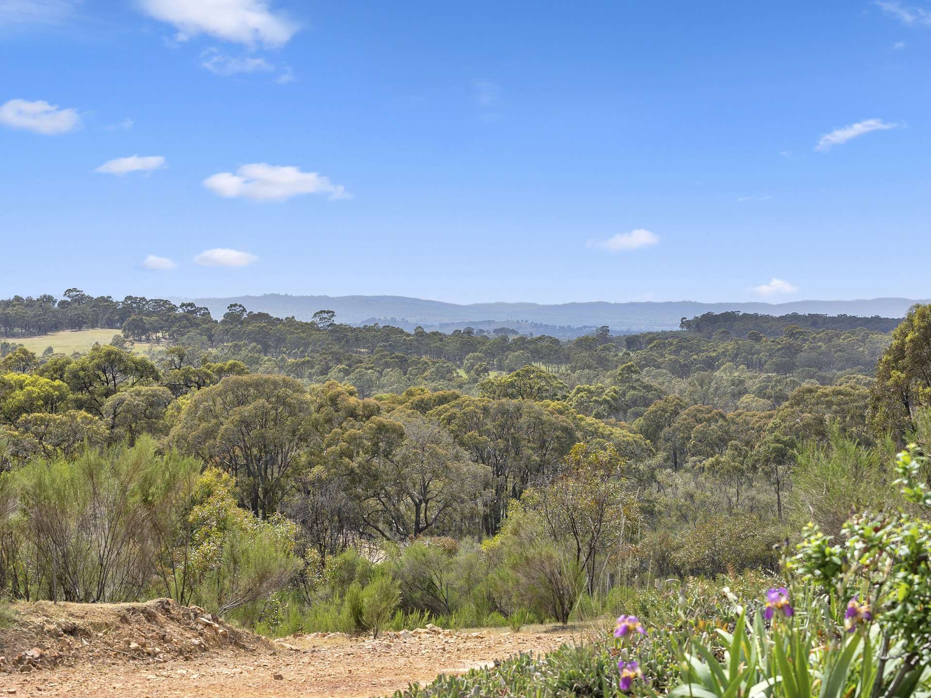 110 Bassett Lane, Hilldene For Sale by Farmbuy.com - image 30